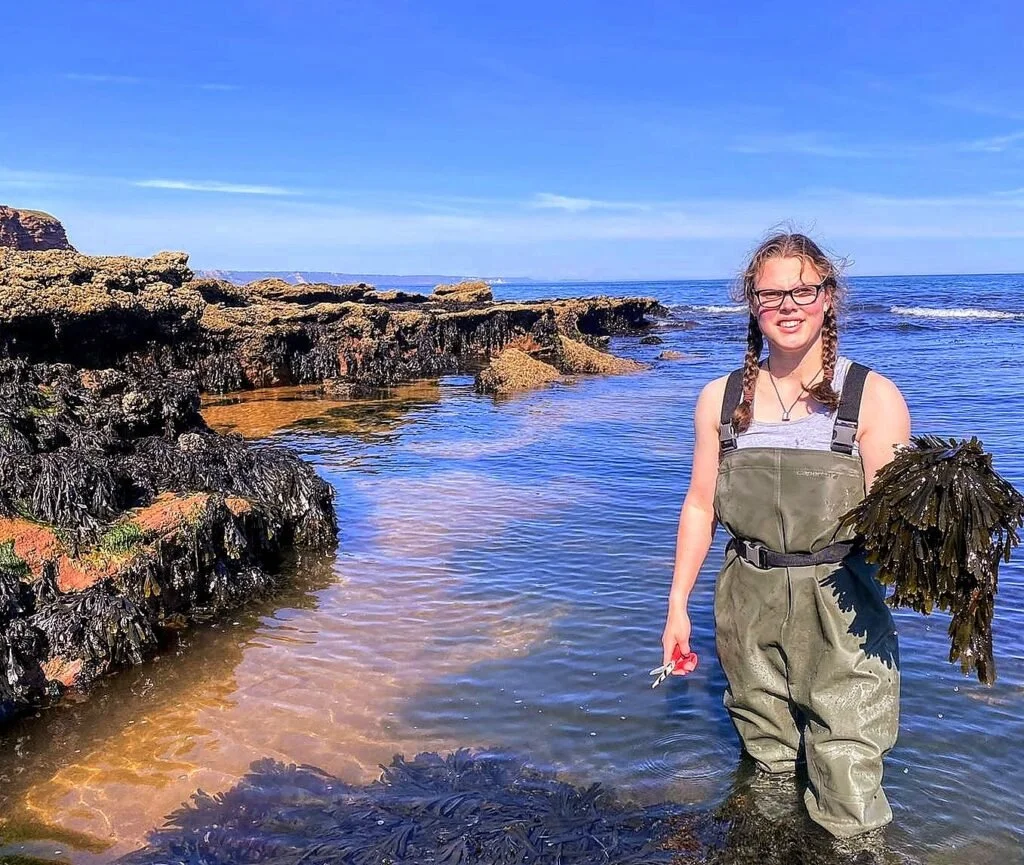 Ebb Tides: Coastal Foraging and Seaweed pressing