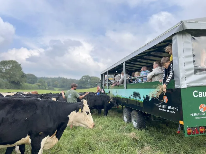 Farm2Fork: Farm Safari and BBQ
