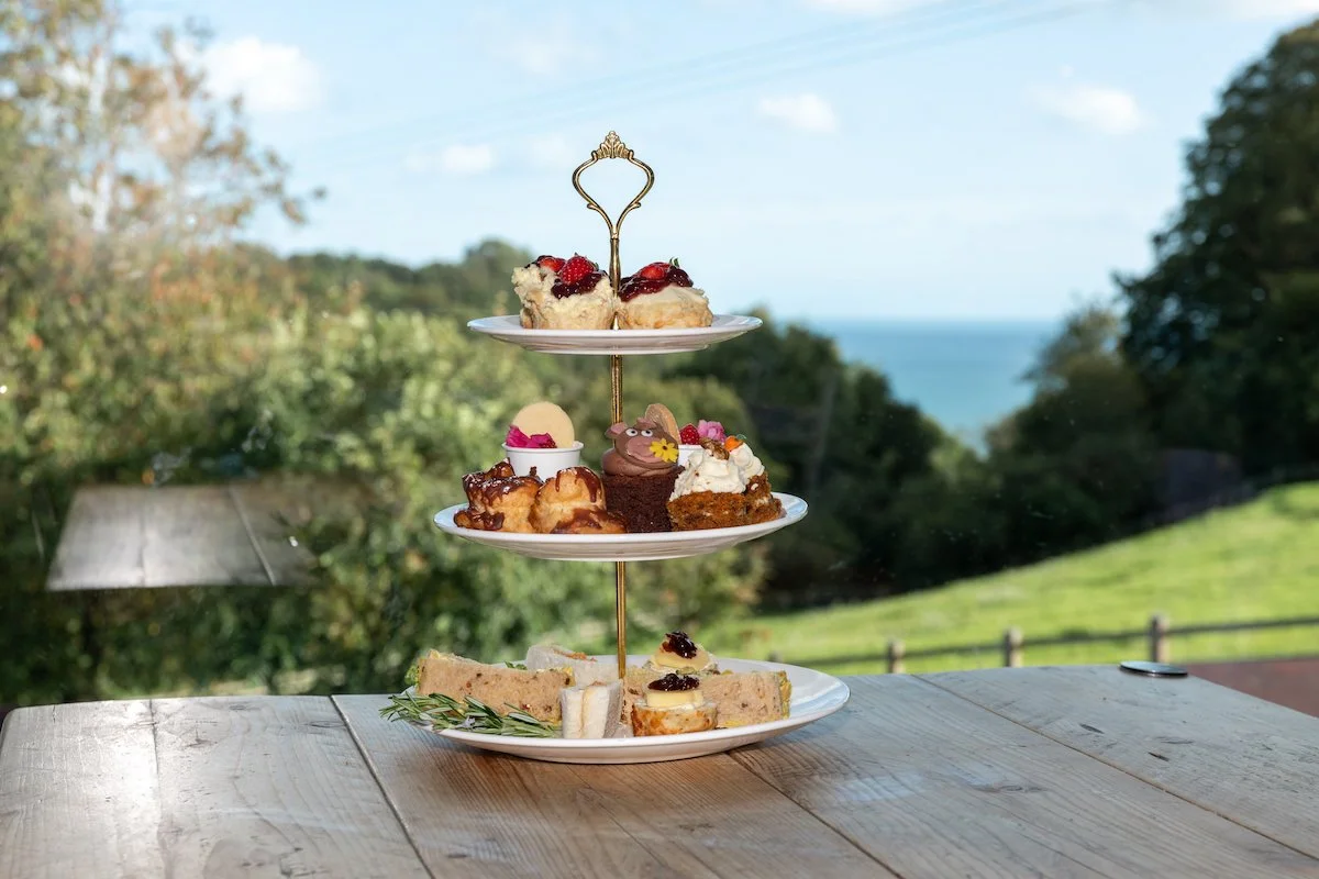 Afternoon Tea & Donkey Enrichment Workshop 