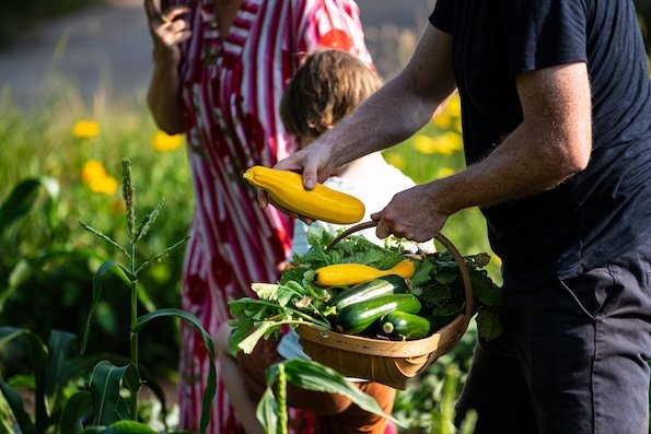 Heron Farm: Harvest Supper 