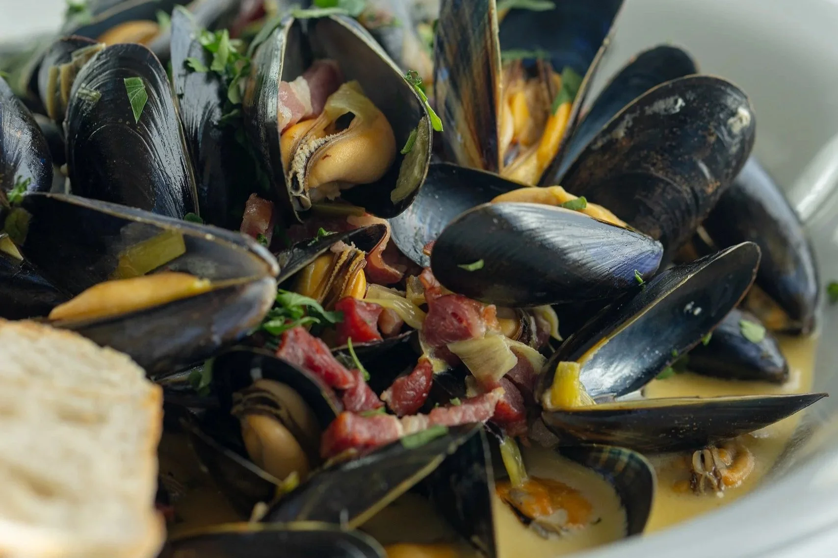 Rockfish: exclusive landing for Taste East Devon
