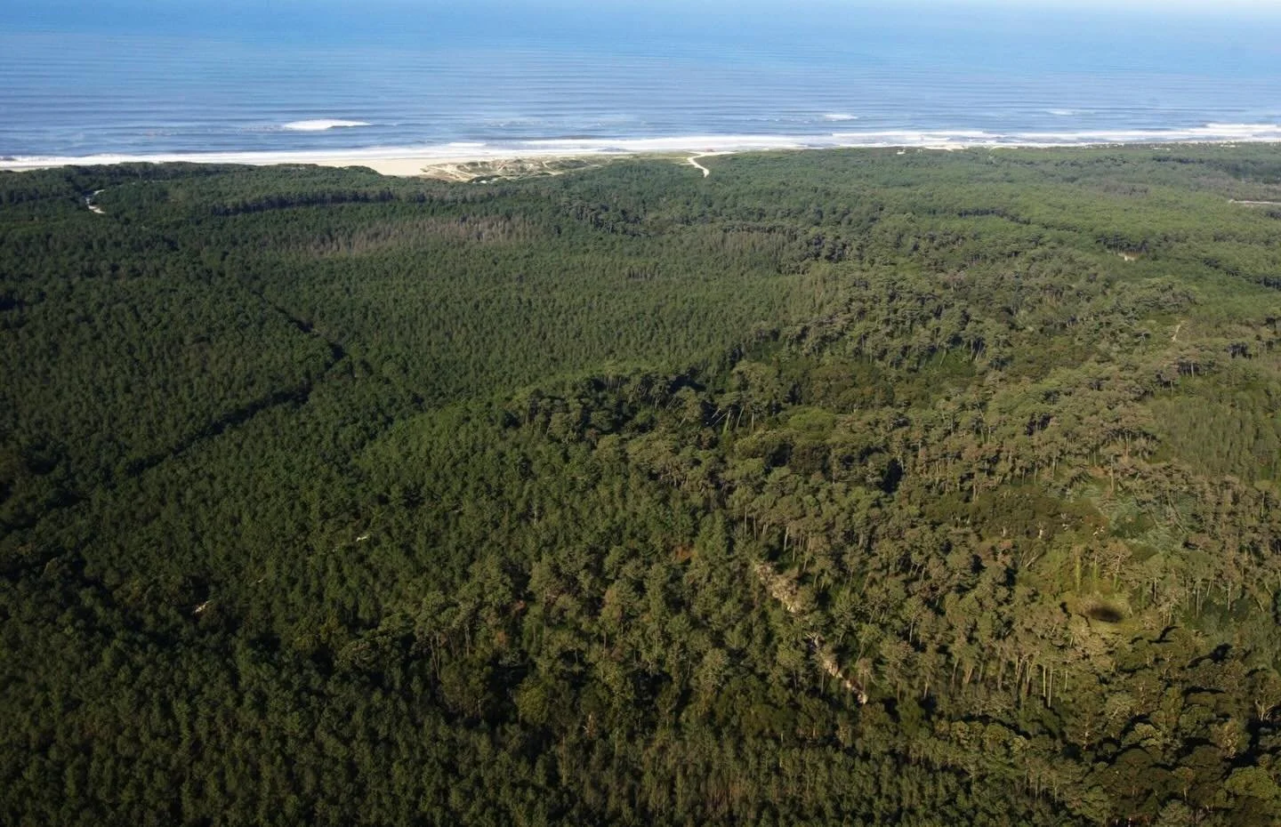 Exciting project for the coming year. 👁️ News soon.

#catarinapachecodesign