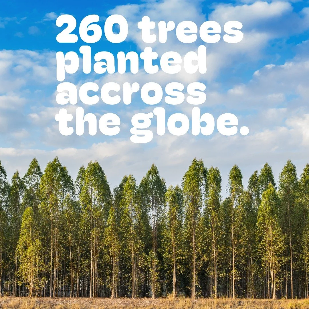 Still doing good. 
We&rsquo;re proud to share that we&rsquo;ve donated funds to plant 260 trees in partnership with @onetreeplanted throughout September. 🌳

Together, we&rsquo;re helping restore forests, create habitats for biodiversity, and saving 