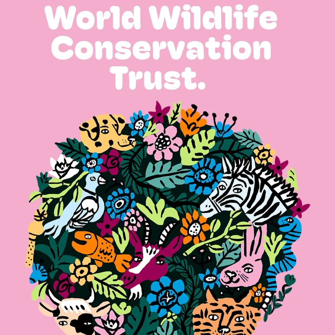 🌍 Happy World Wildlife Conservation Day! 🐾🌿
We celebrate the incredible species that share our planet. Let&rsquo;s protect, preserve, and respect all life. Together, we can ensure wildlife thrives for generations to come. 💚

#WorldWildlifeConserv