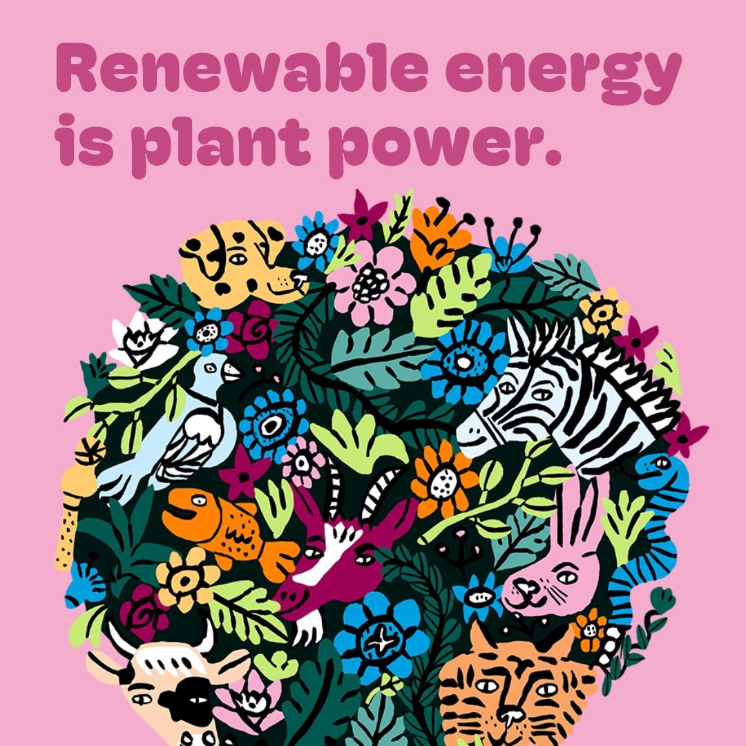 Renewable energy is a great way to reduce your carbon footprint at no extra cost. We know the renewables market inside out so pick our brains, get set up, and let&rsquo;s fight for the planet.

Get the power ☀️🌍 https://www.ecologicpartners.co.uk/
 