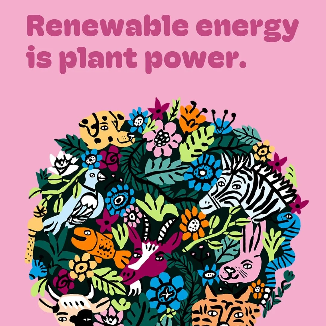 🌍Embarking on a Net Zero journey can be a challenge for any business. But with our expertise and support, we can help you navigate this critical step towards a sustainable and environmentally friendly future.

🌍We are trained to help your business 