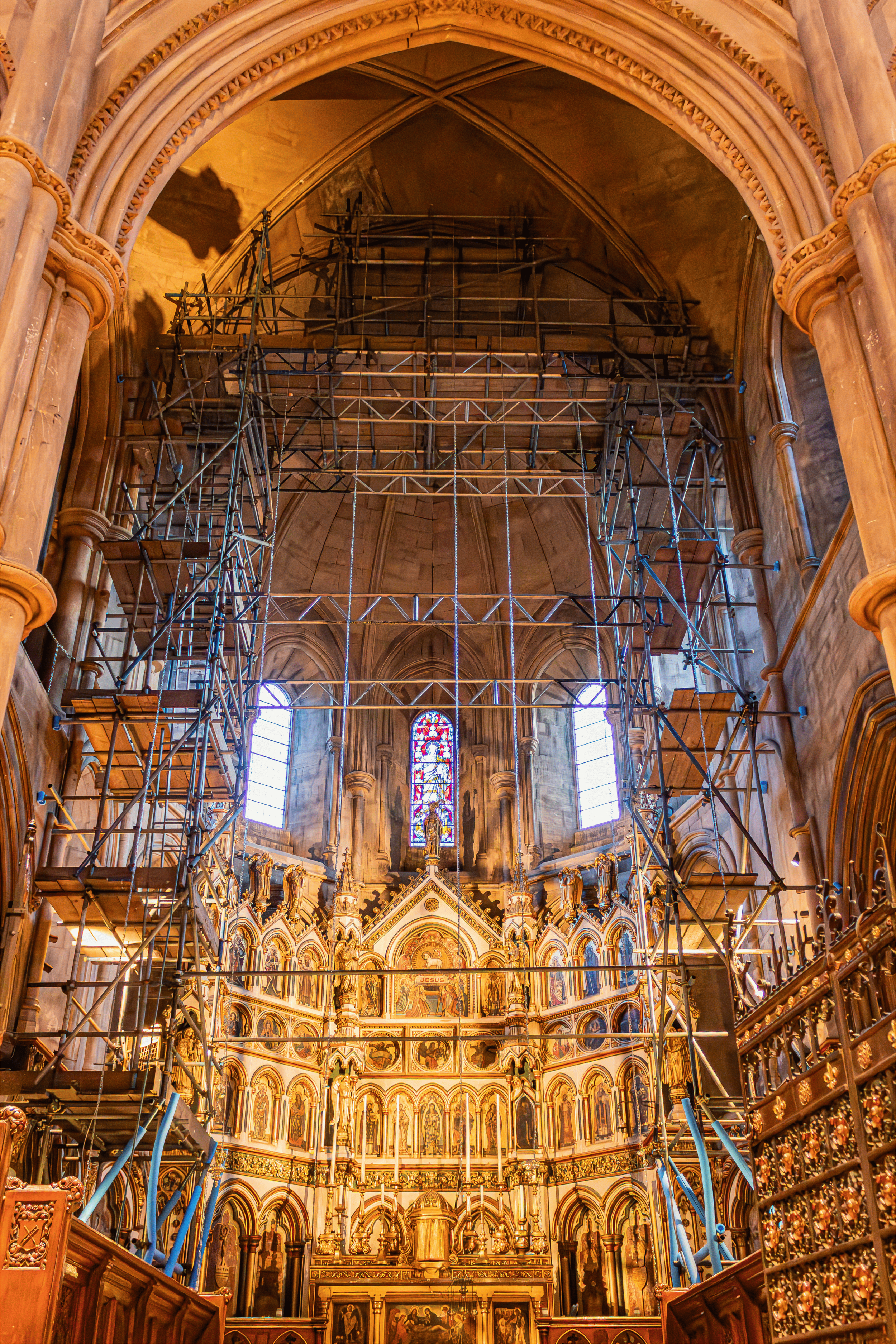 Untitled design (5).png