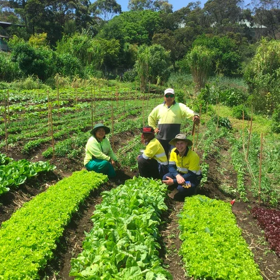 Social enterprises in farming, gardening and landscaping