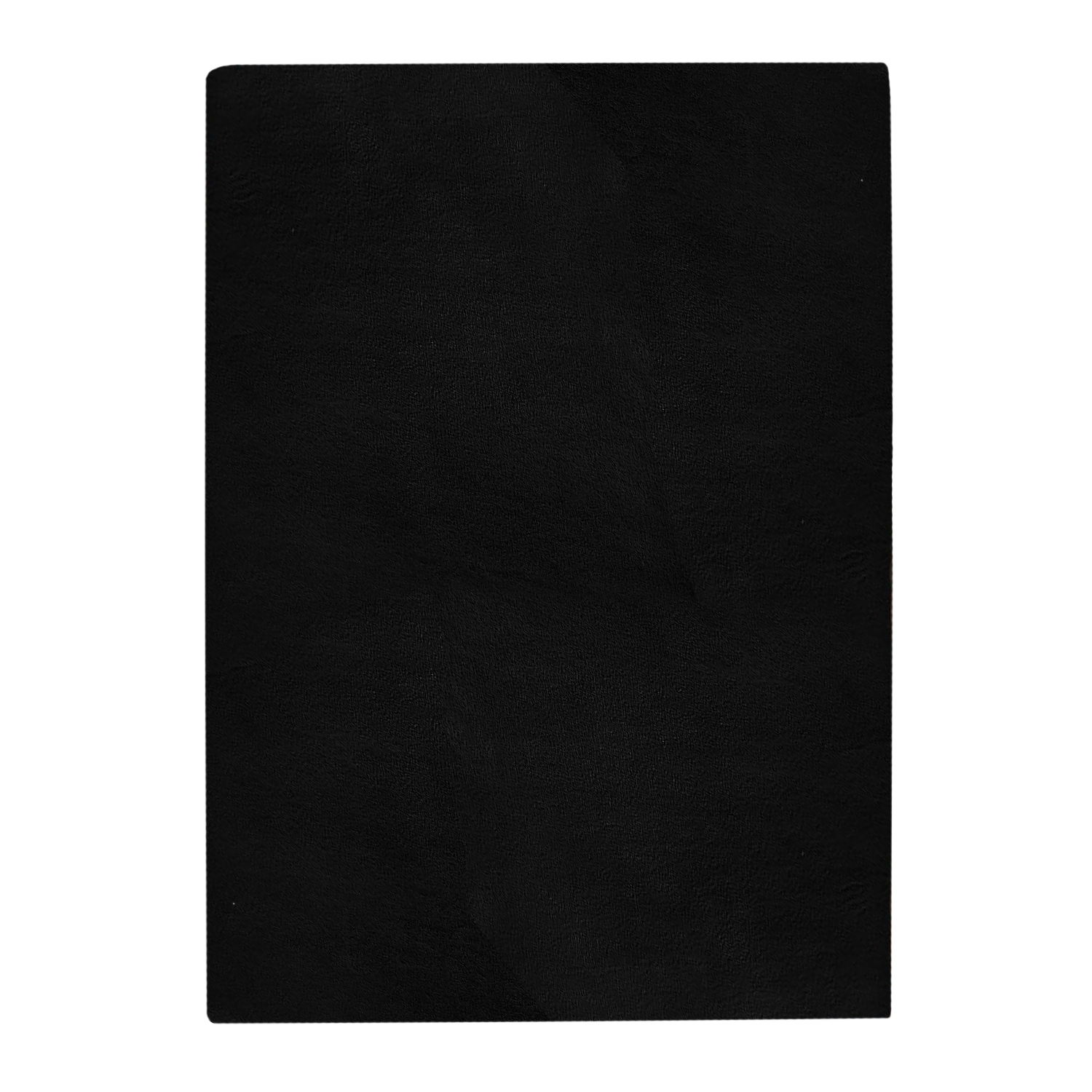 Finn-Rug-02.png