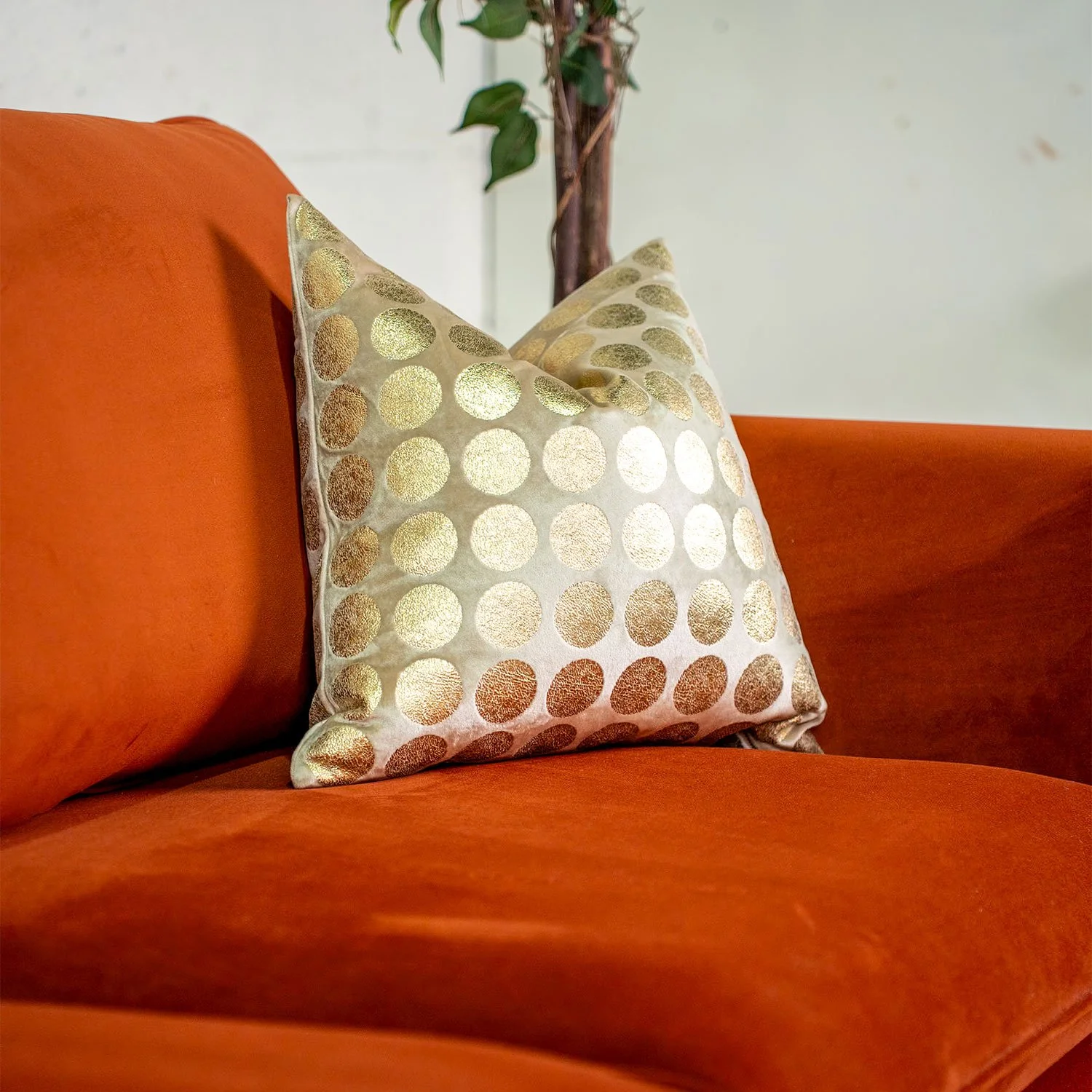 Grace-Package-02.jpg