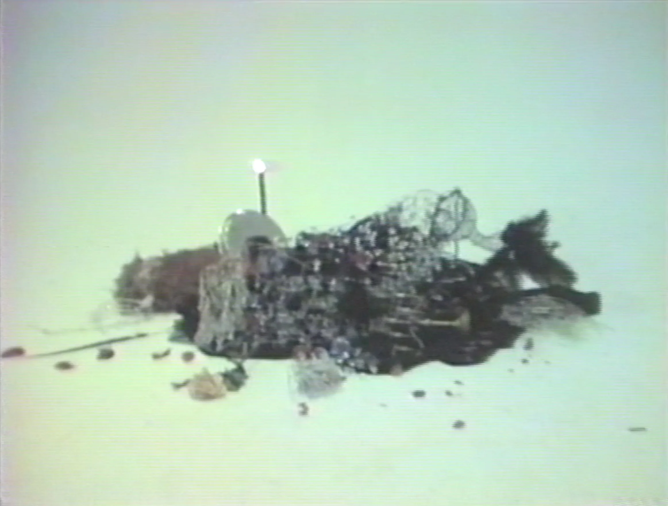 57-58.jpg