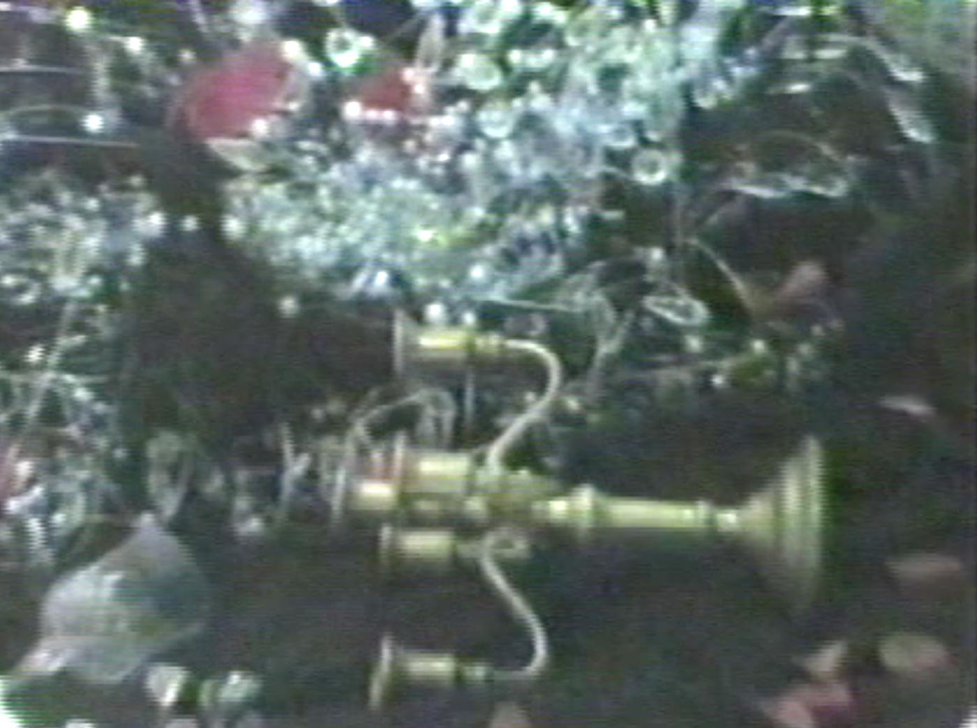 55-56.jpg