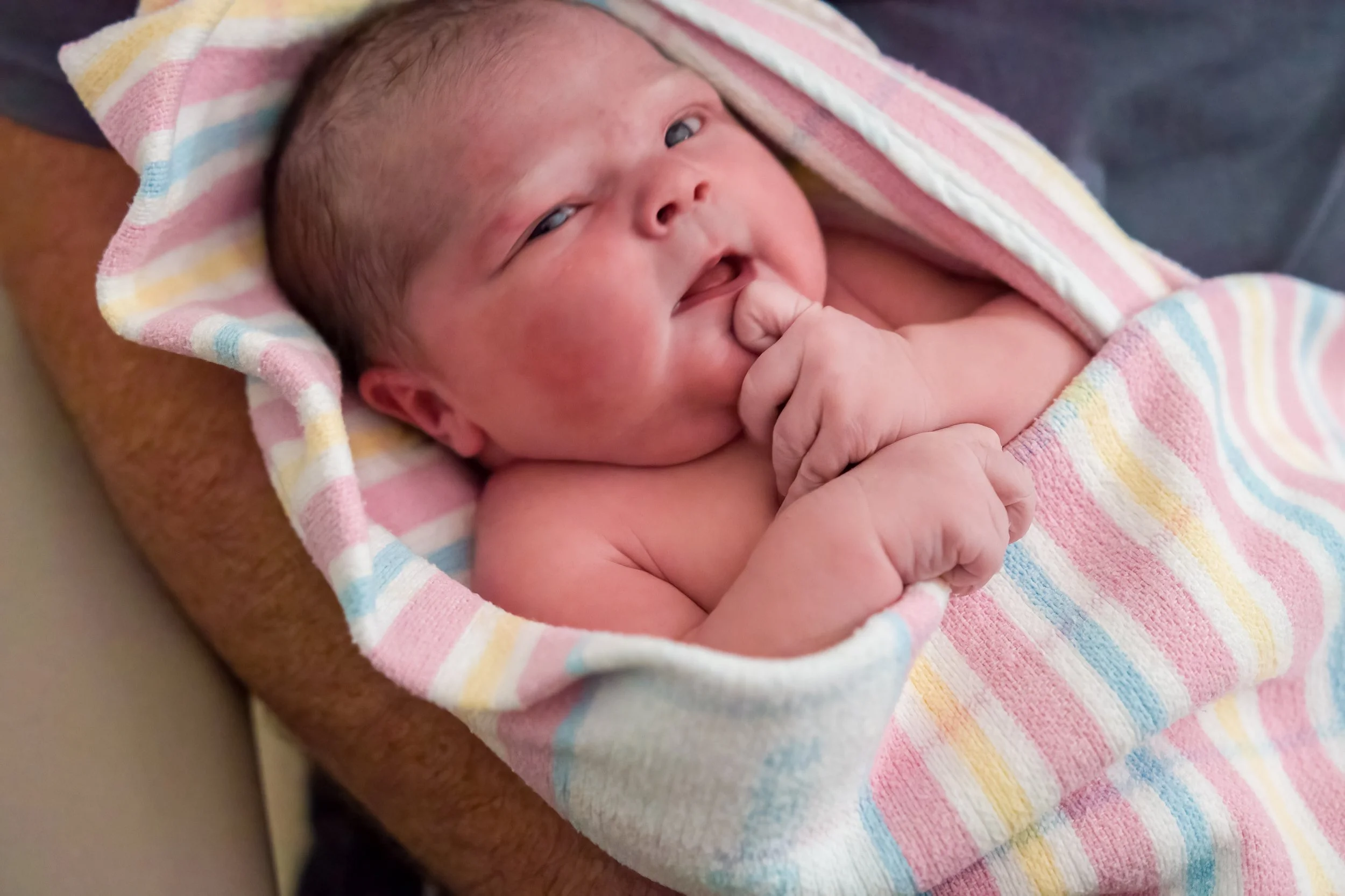 a newborn baby just after birth wrapped in a blanket from gosford public hospital
