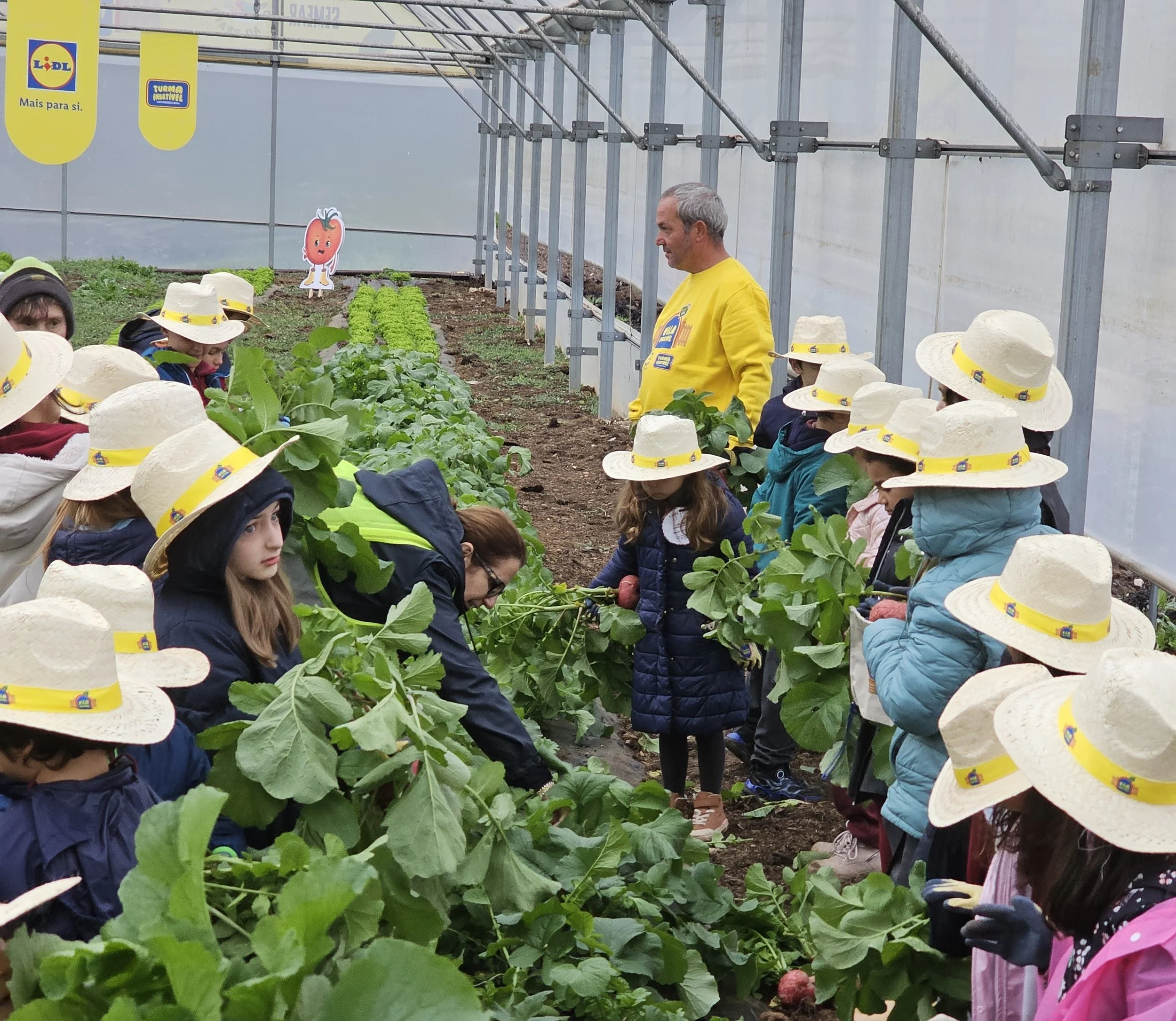 Cópia de 4_Colheita.jpeg