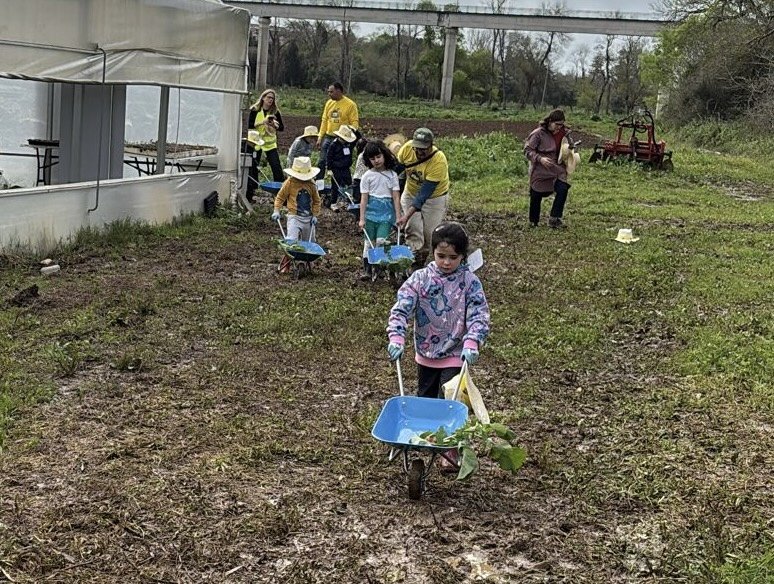 Cópia de 5_Transporte.jpg