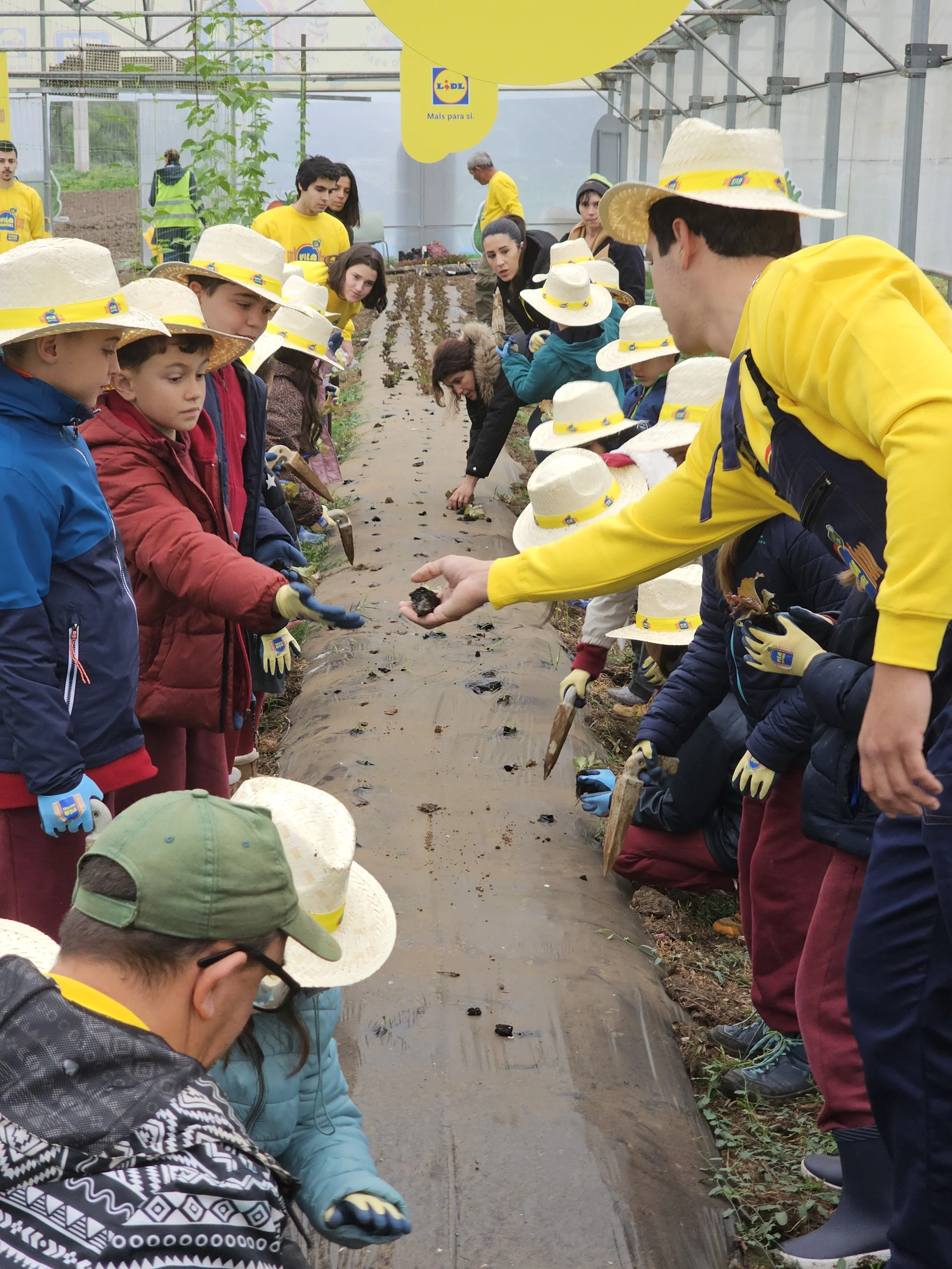 Cópia de 3_plantação.jpeg