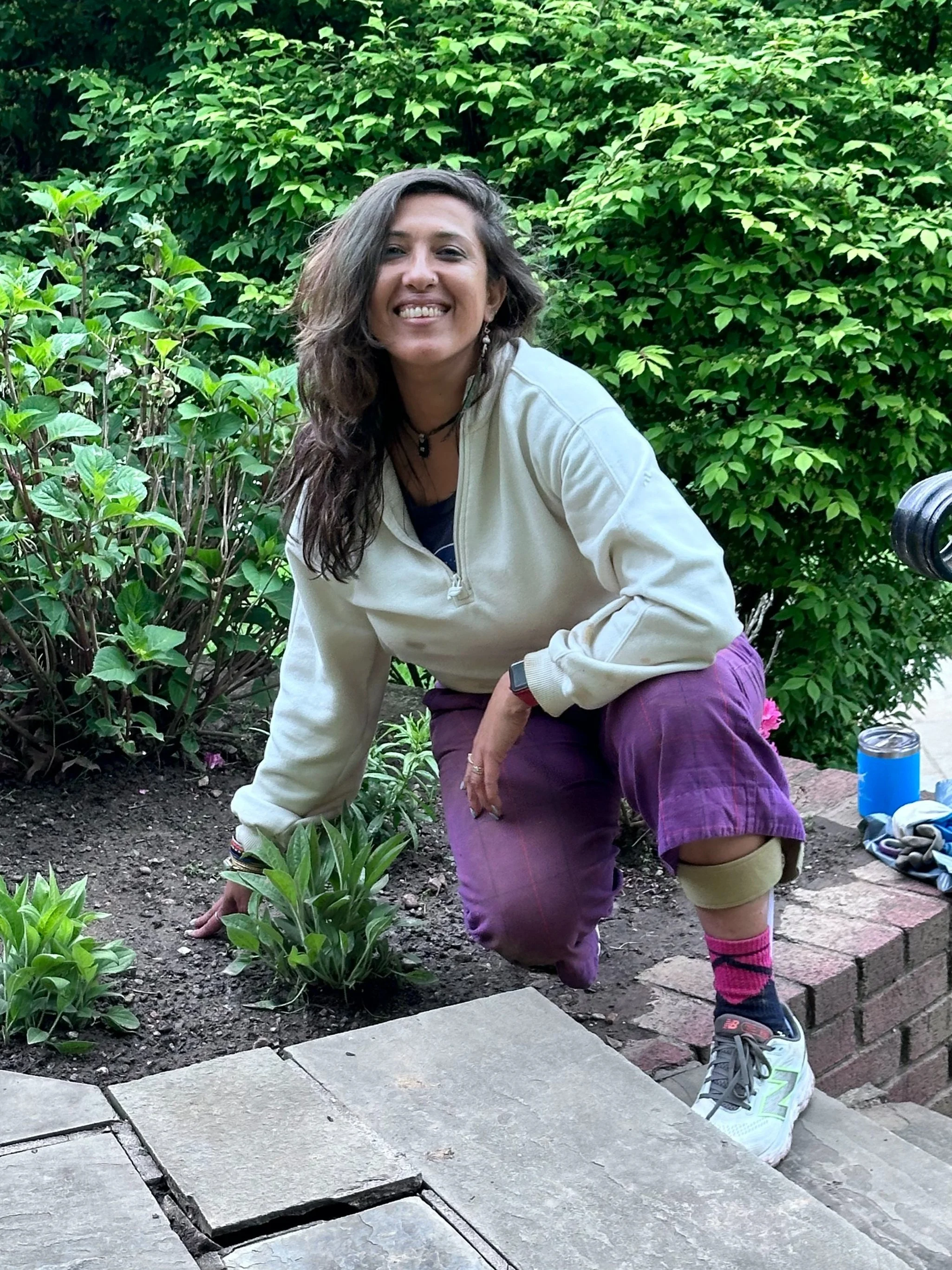 The Importance of the Seed in Your Creative Journey