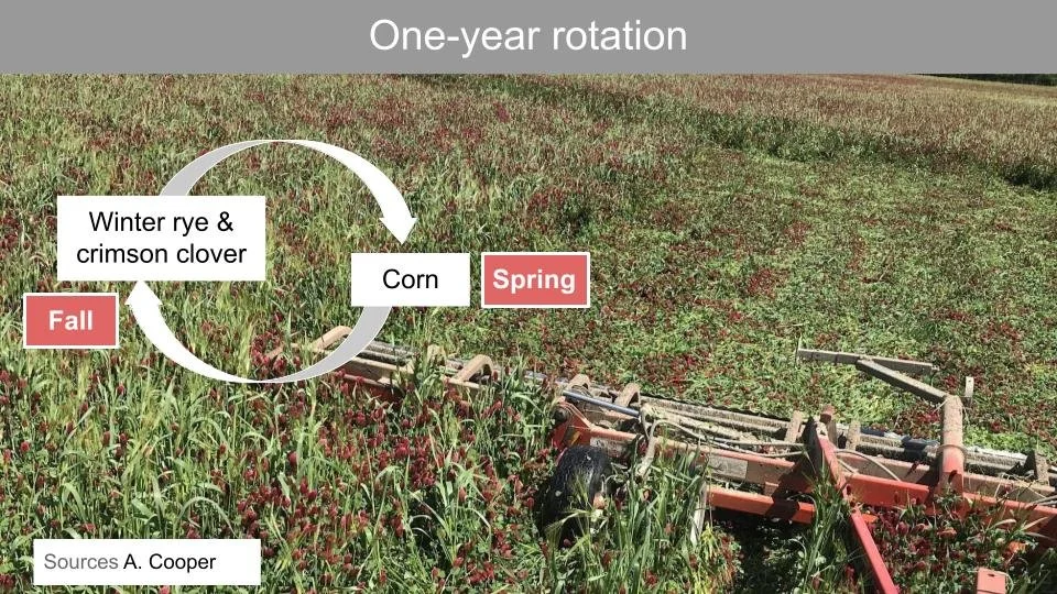 Planning Crop Rotations — Common Grain Alliance