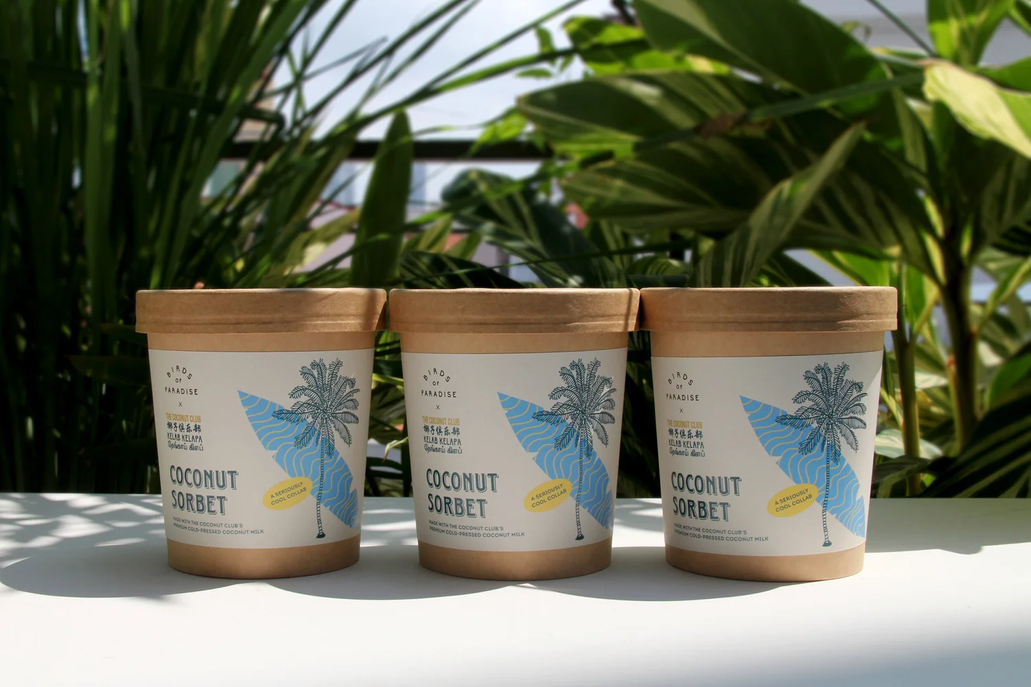 Collaborations | The Coconut Club