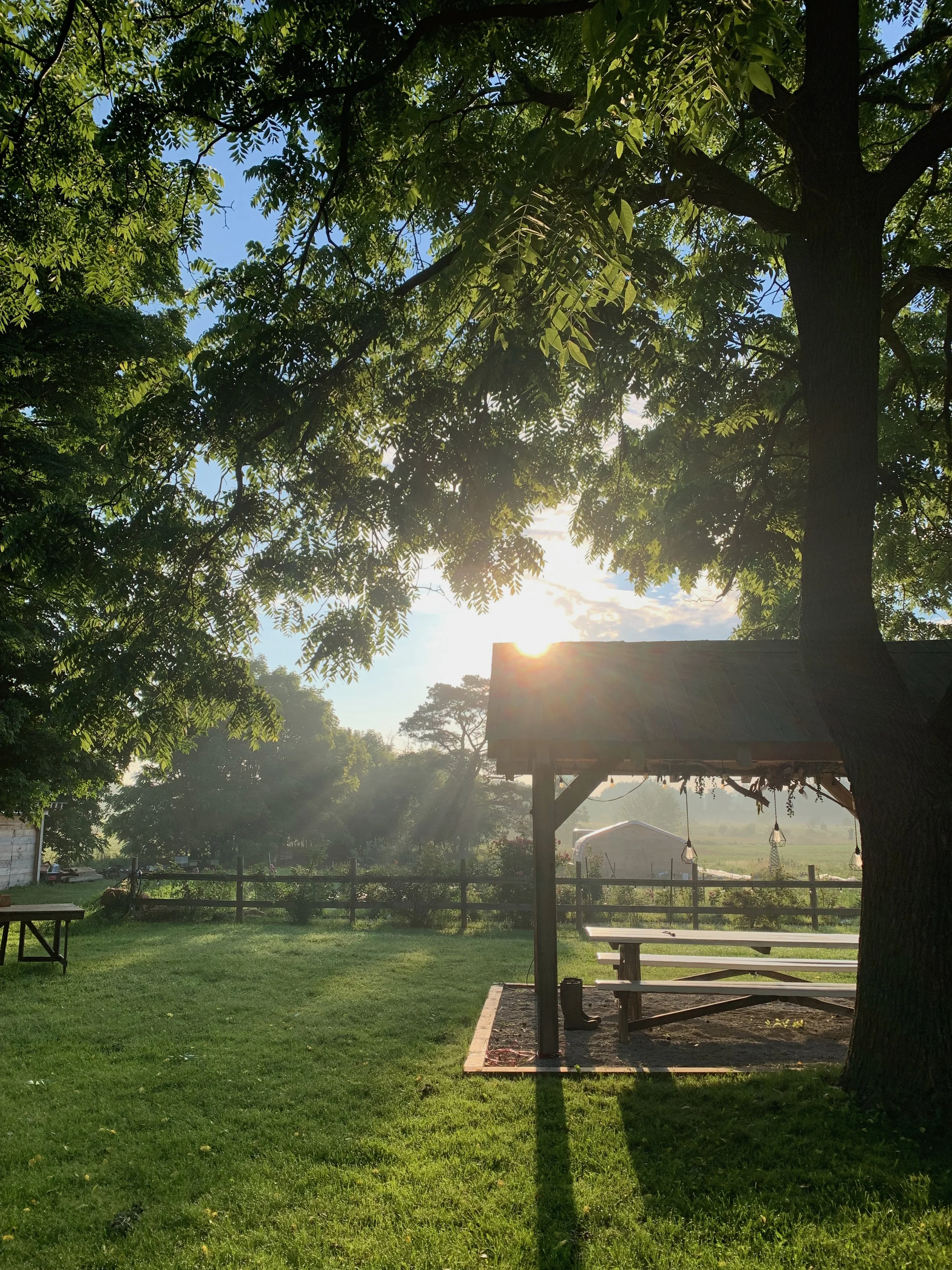 morning pavillion.jpg