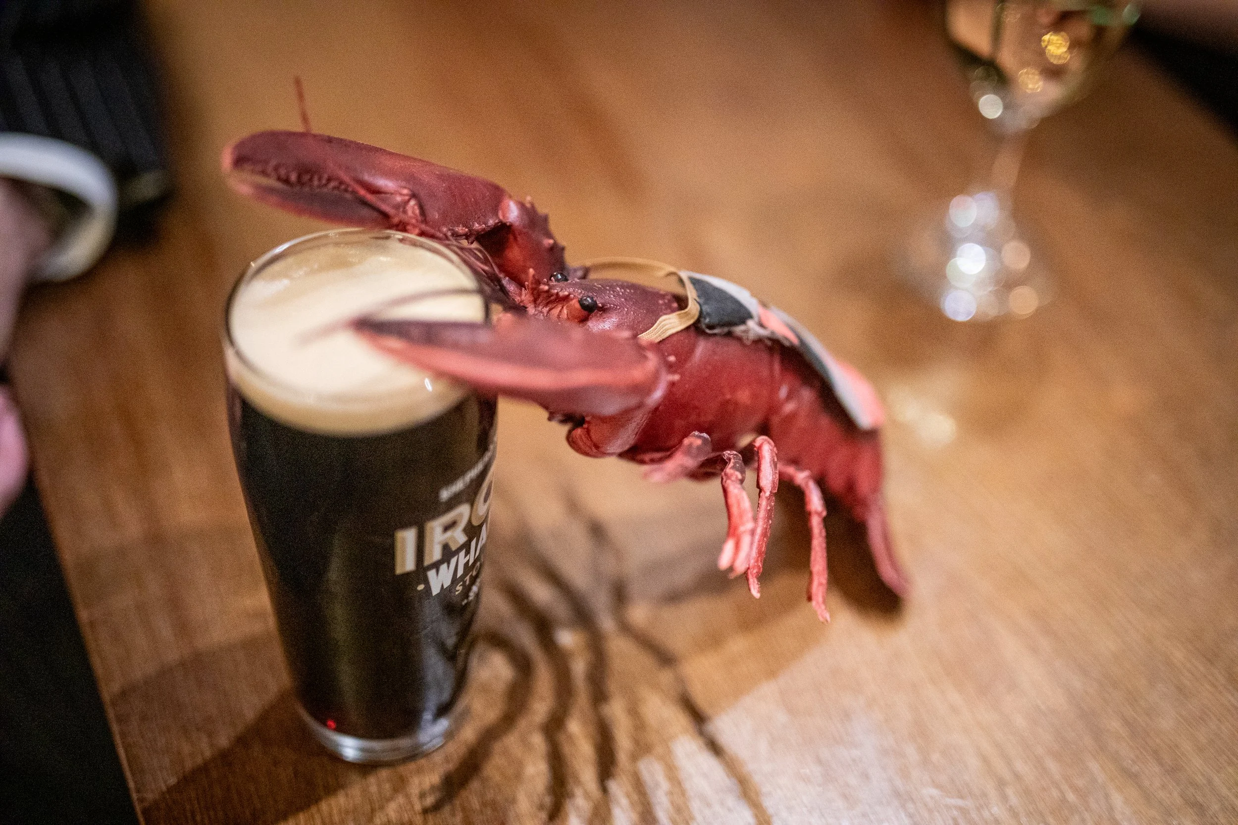 Bob the Lobster enjoys a quiet pint