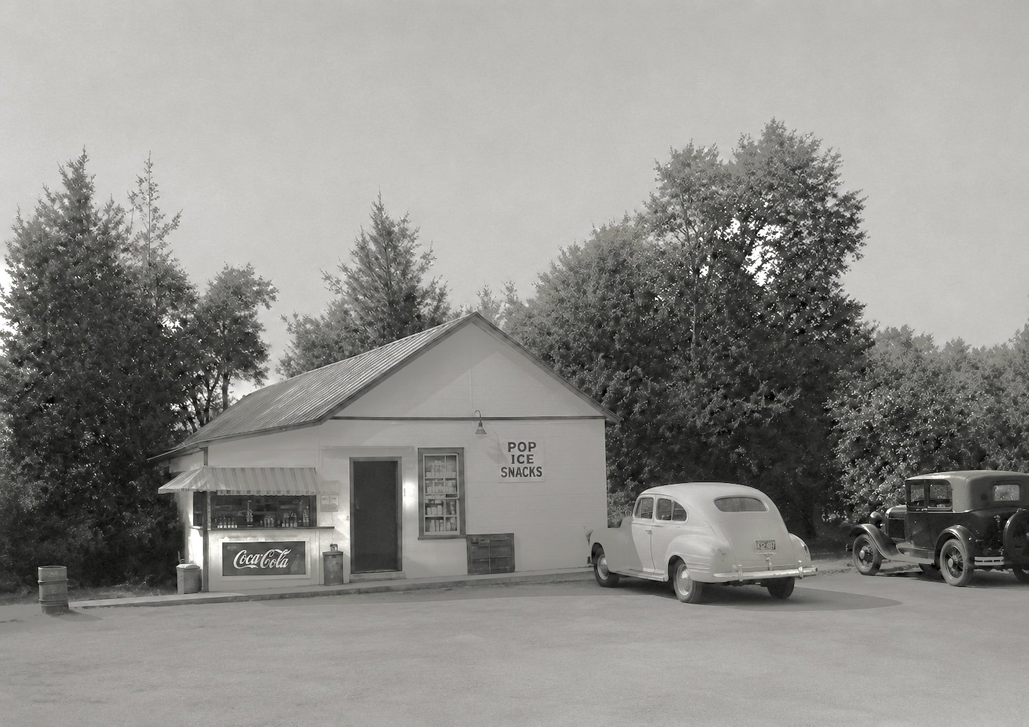 169.jpg