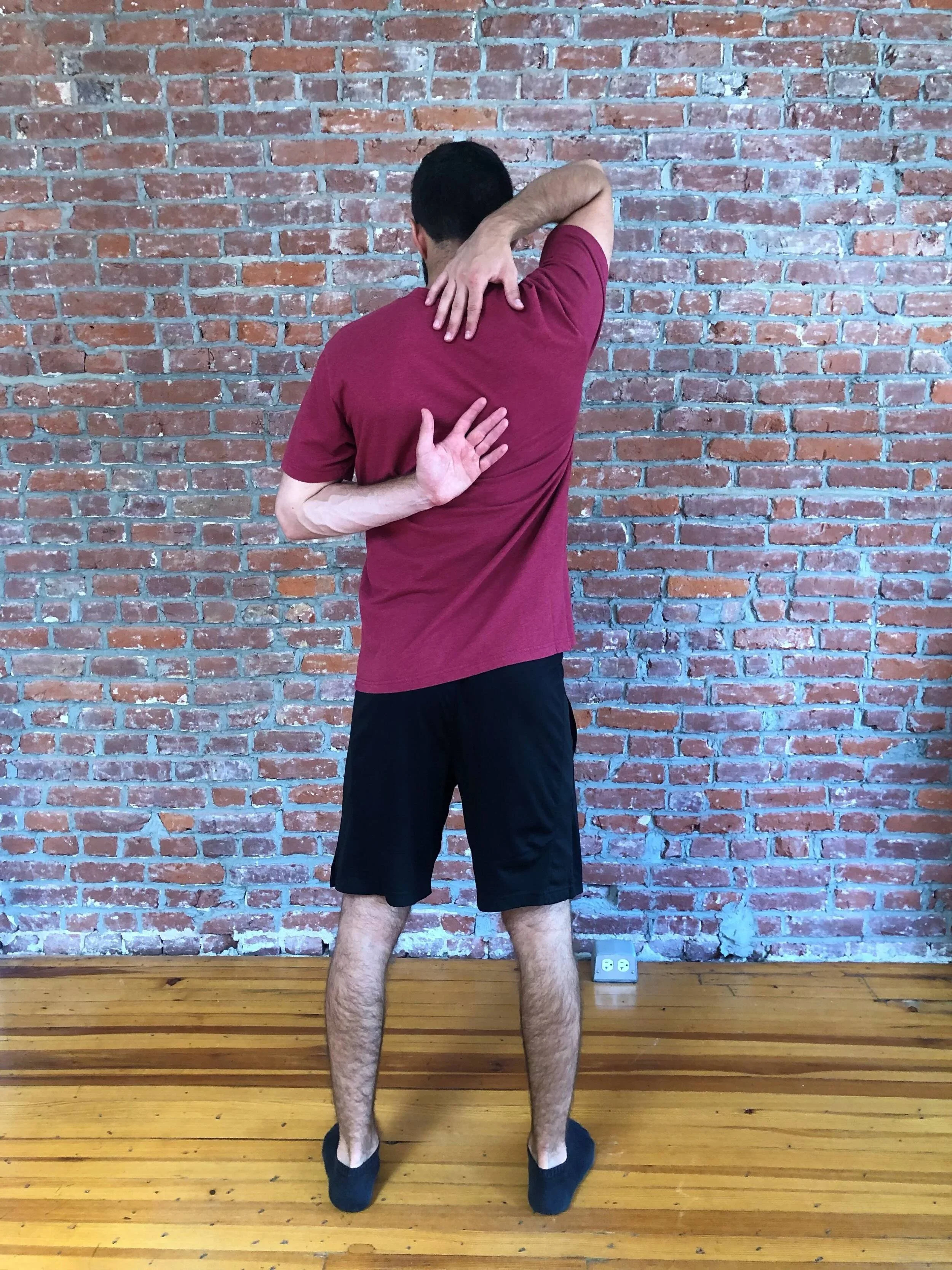 Movement Screens