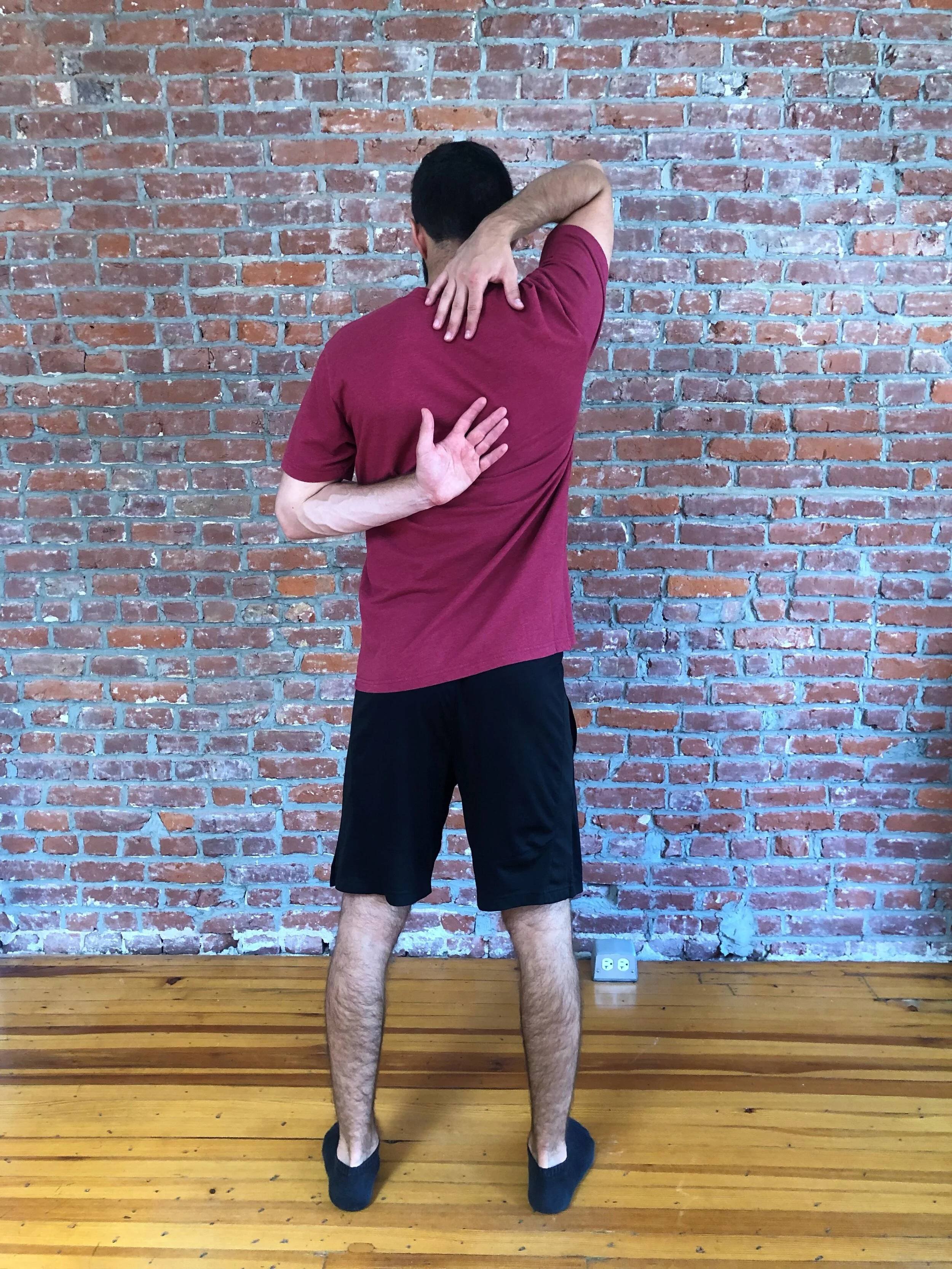 movement screens