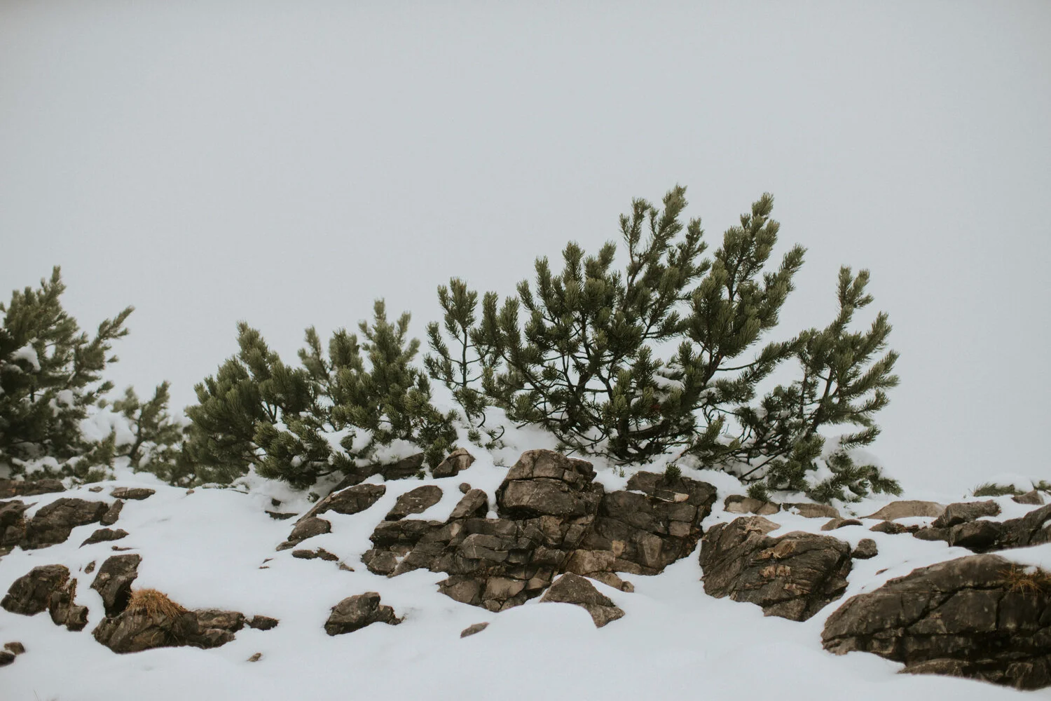 Roxana Andrei-73.jpg