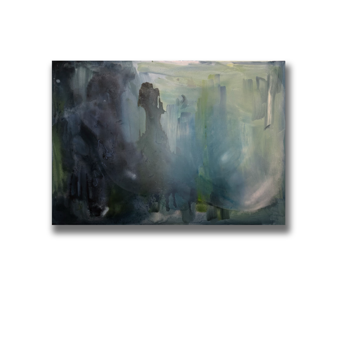 SHADOWS IN BLOOM NR. 2 | 100 x 70