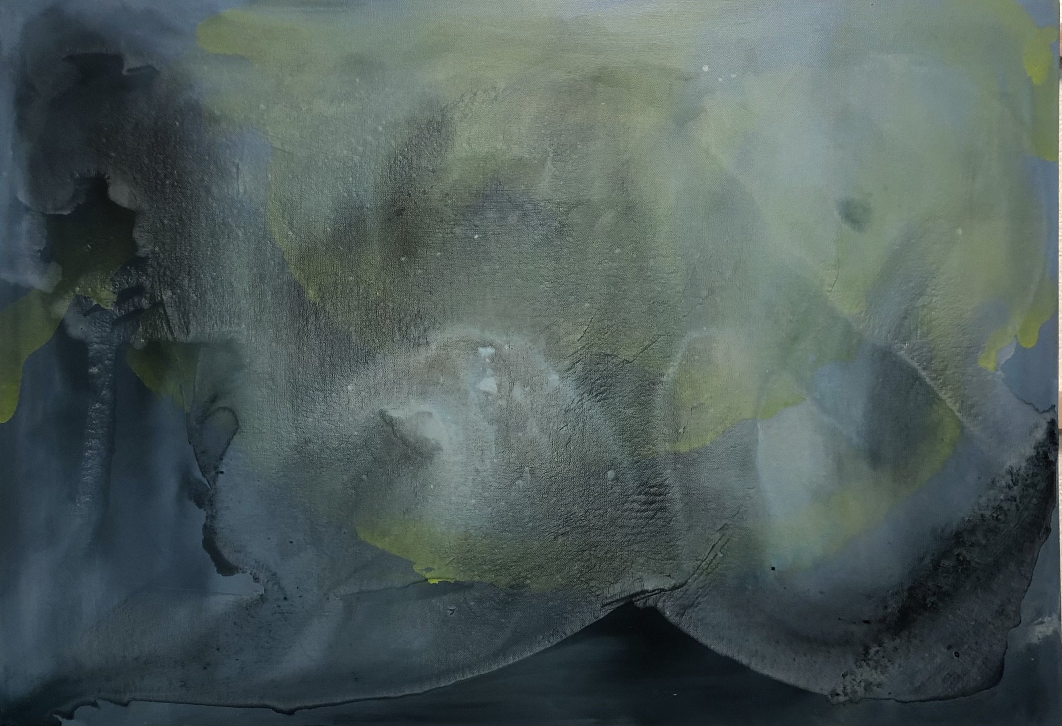 Shadows in Bloom Nr.1