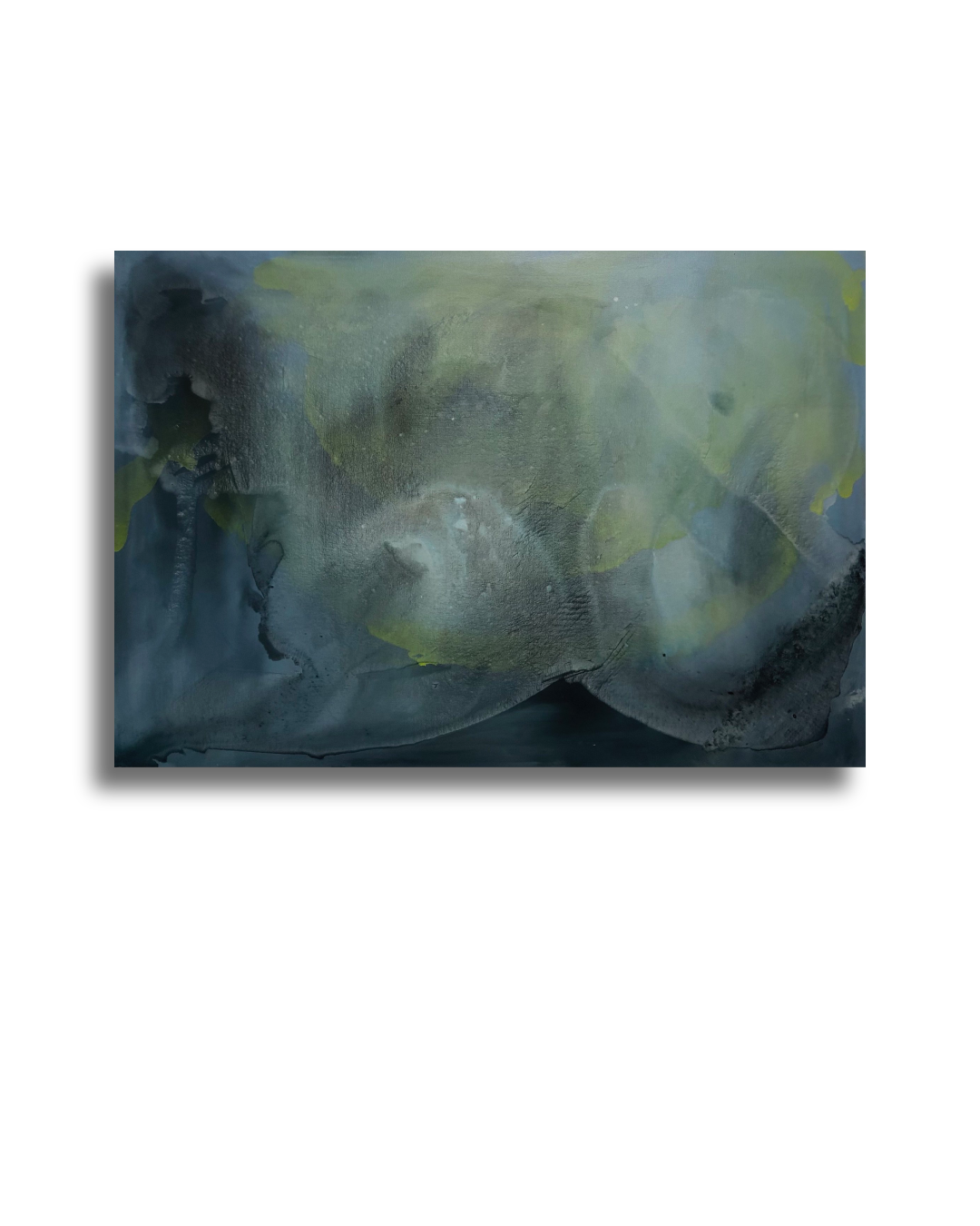 SHADOWS IN BLOOM NR. 1 | 100 x 70