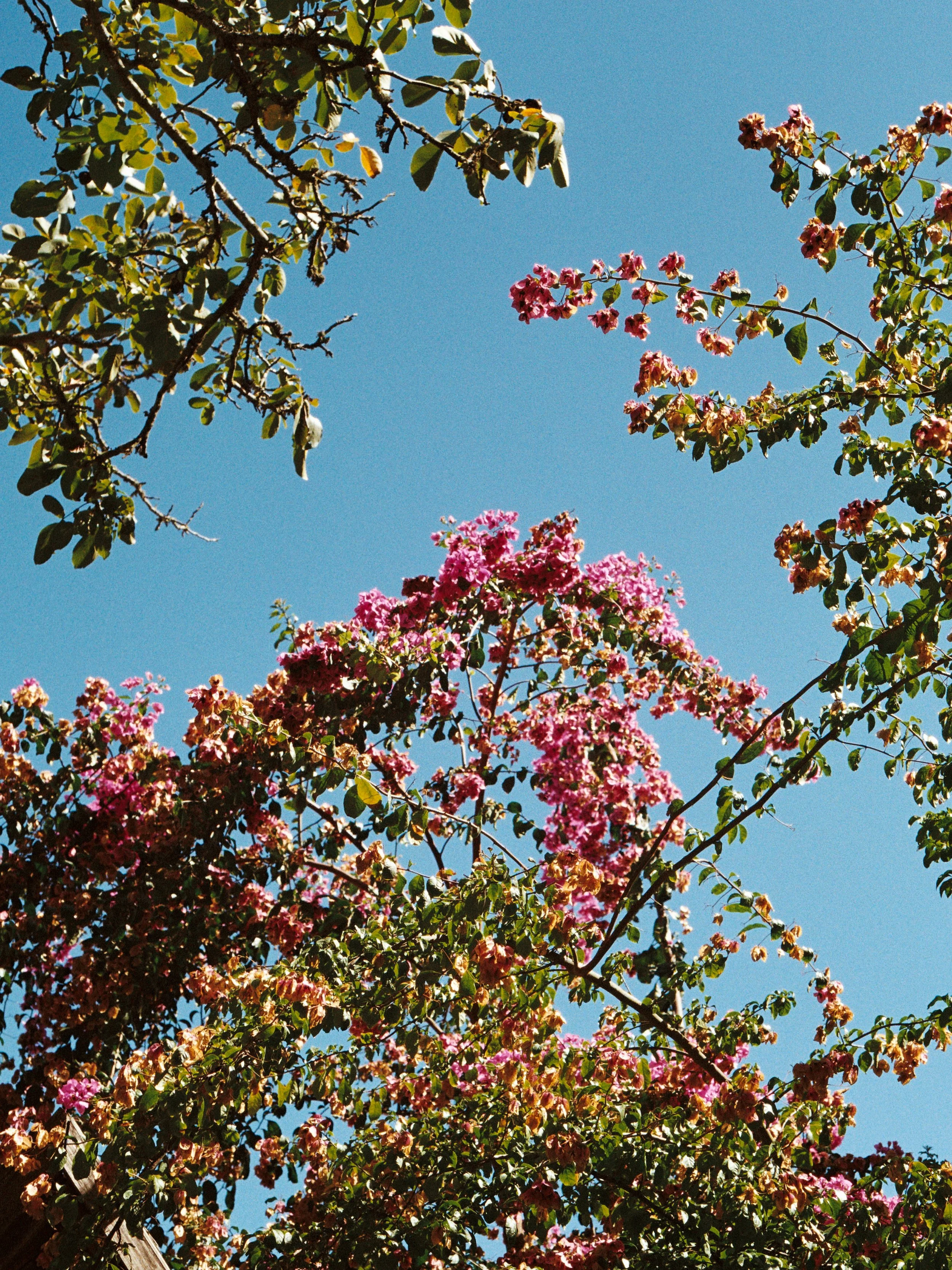 Portugal 2025 film teine 4.jpg