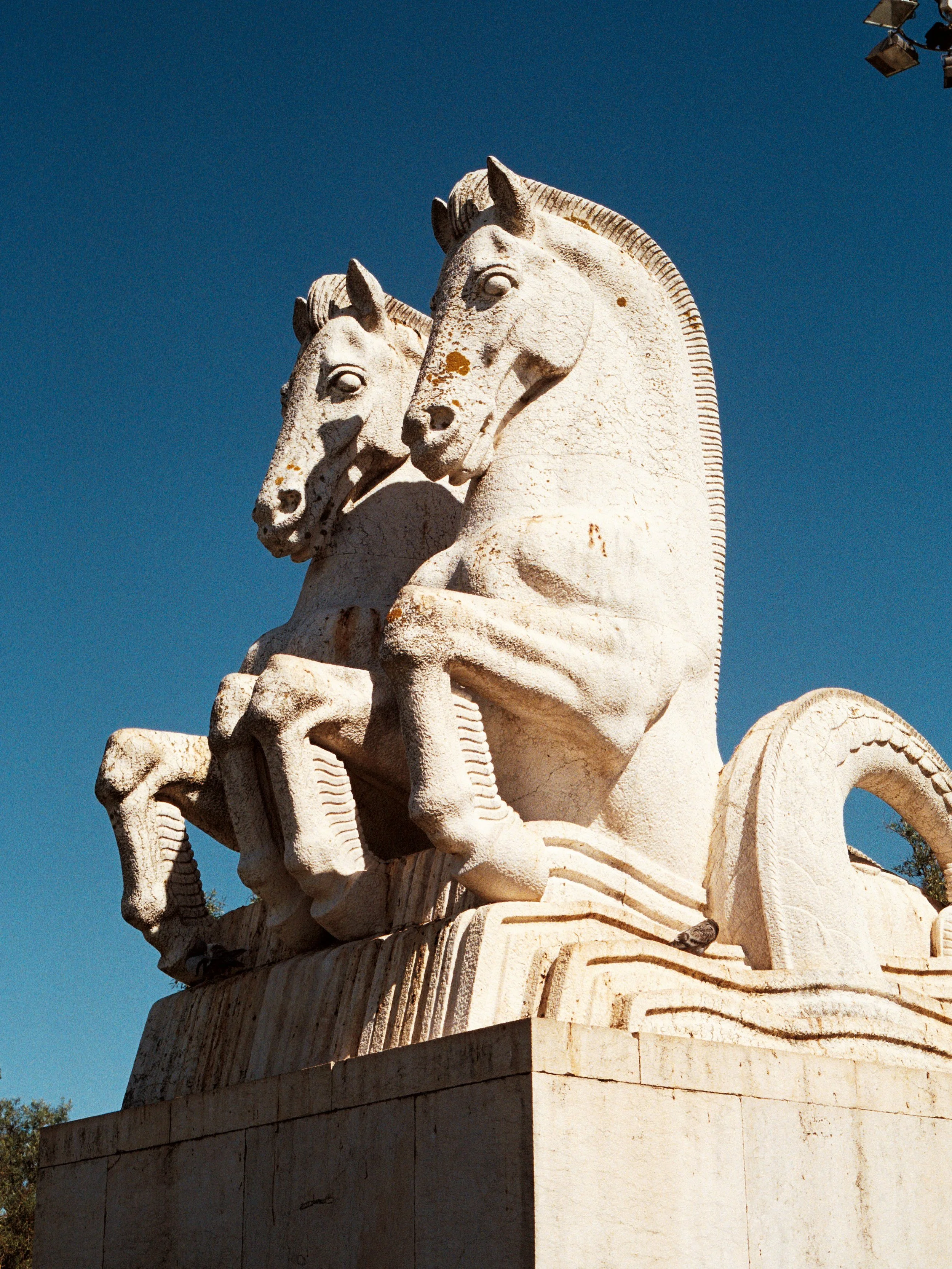 Portugal 2025 film teine 7.jpg