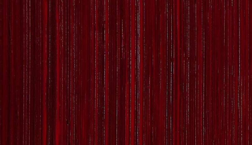 5238f702e_migrate-perrindo-maroon-316.jpg