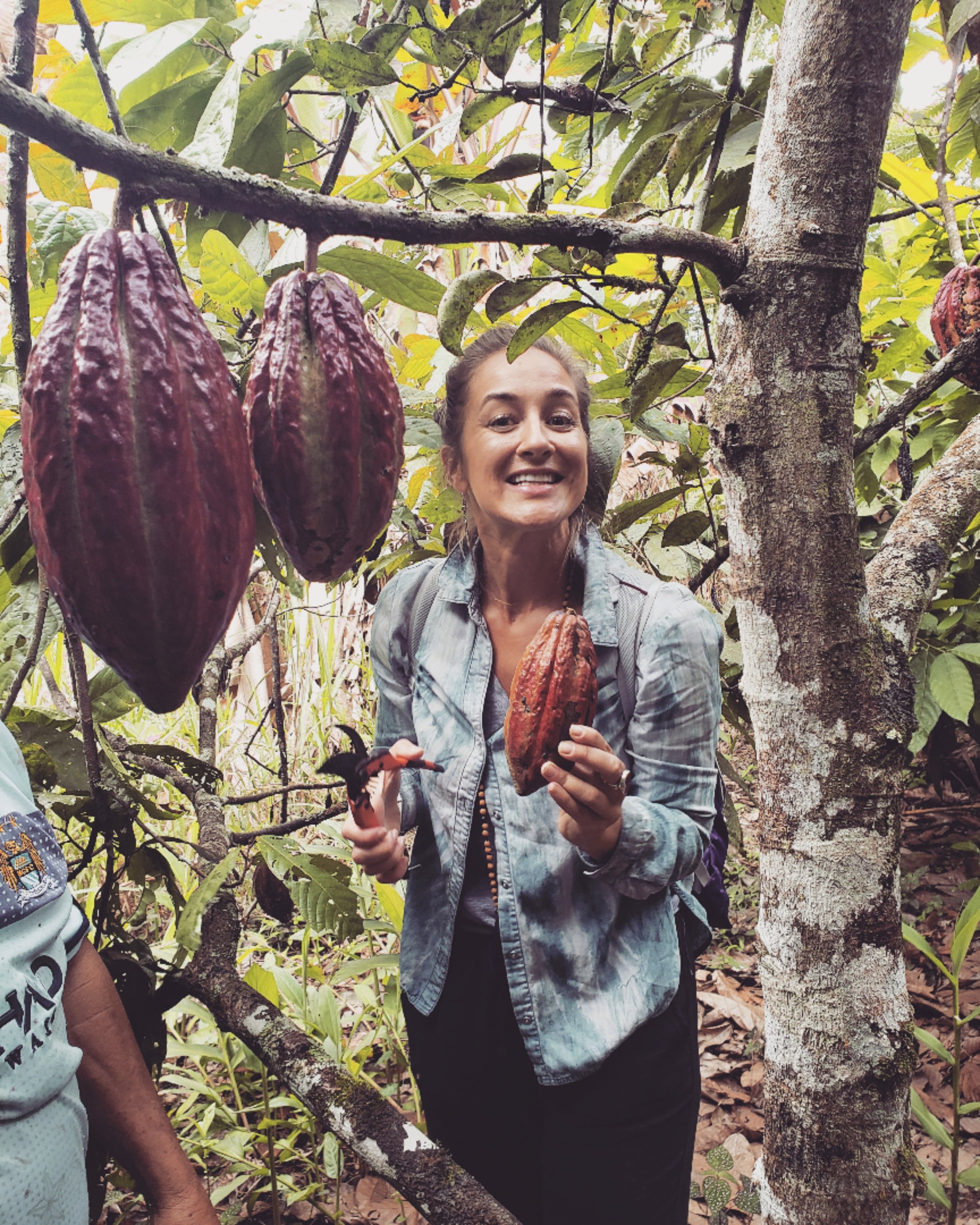 Honoring the Earth, Honoring Ceremonial Cacao: Why Prices Are Rising and How We Can Respond with Heart