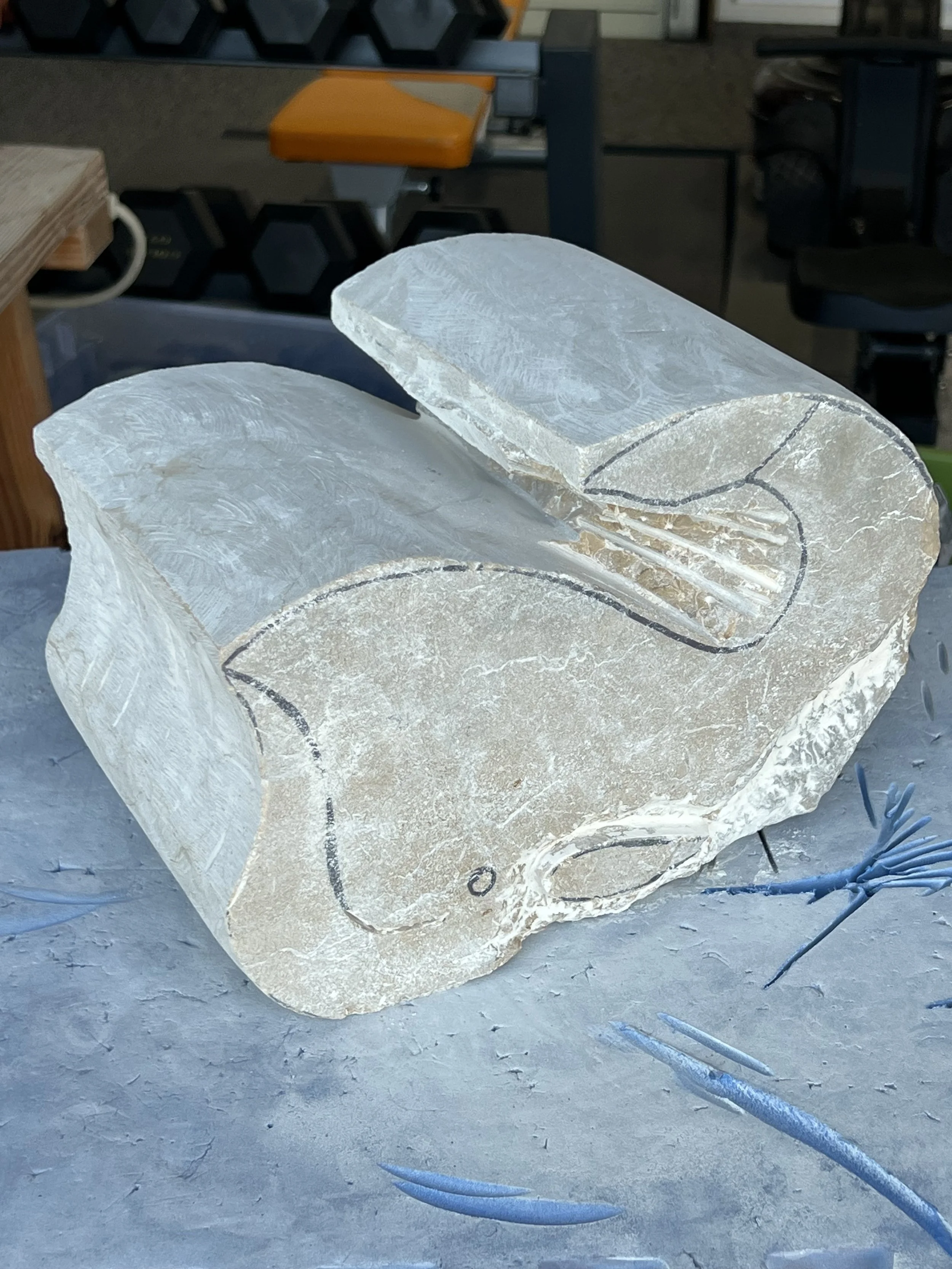 Photo Jan 14 2026, 4 10 53 PM.jpg