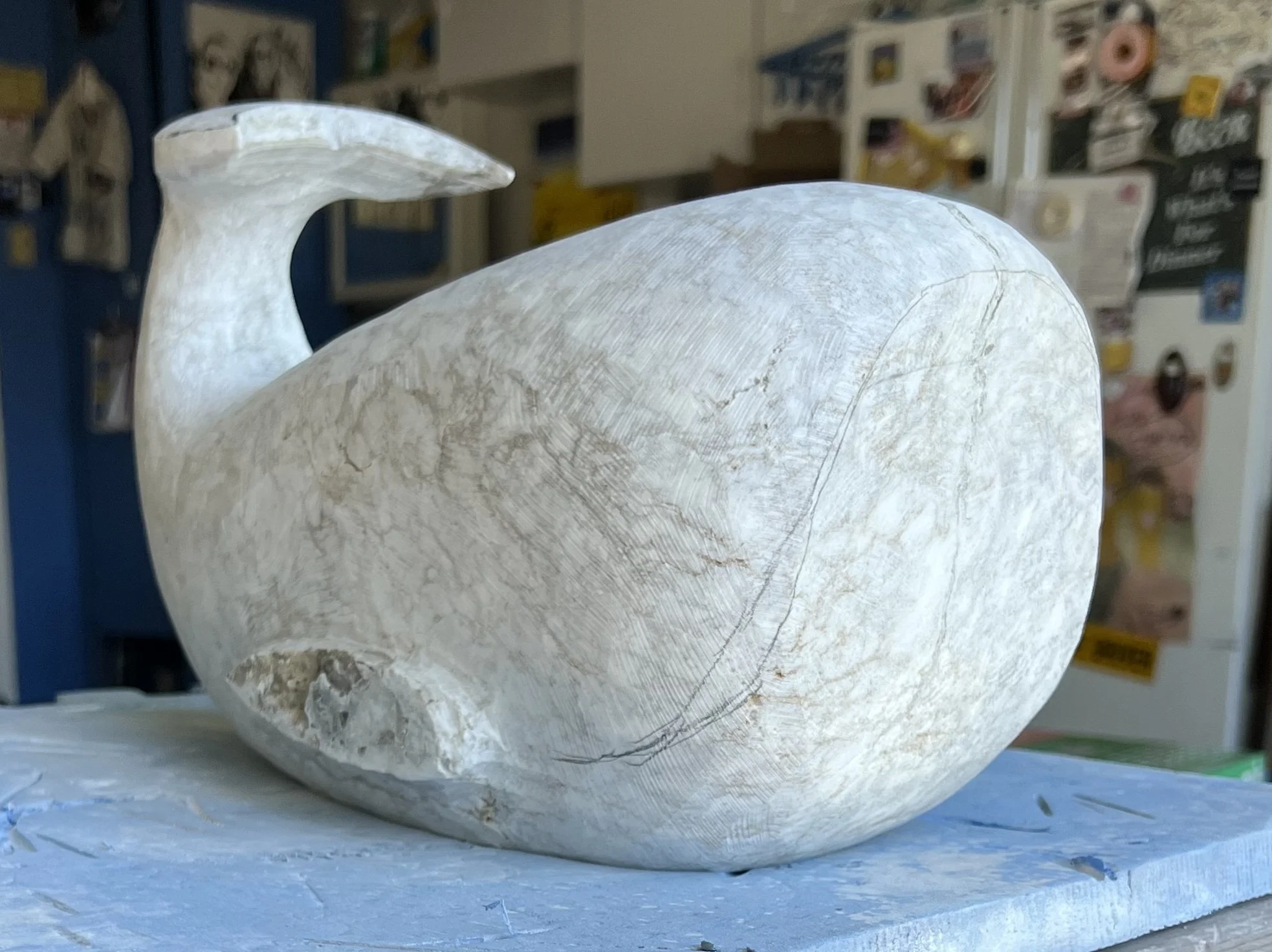 May whale-2.jpg