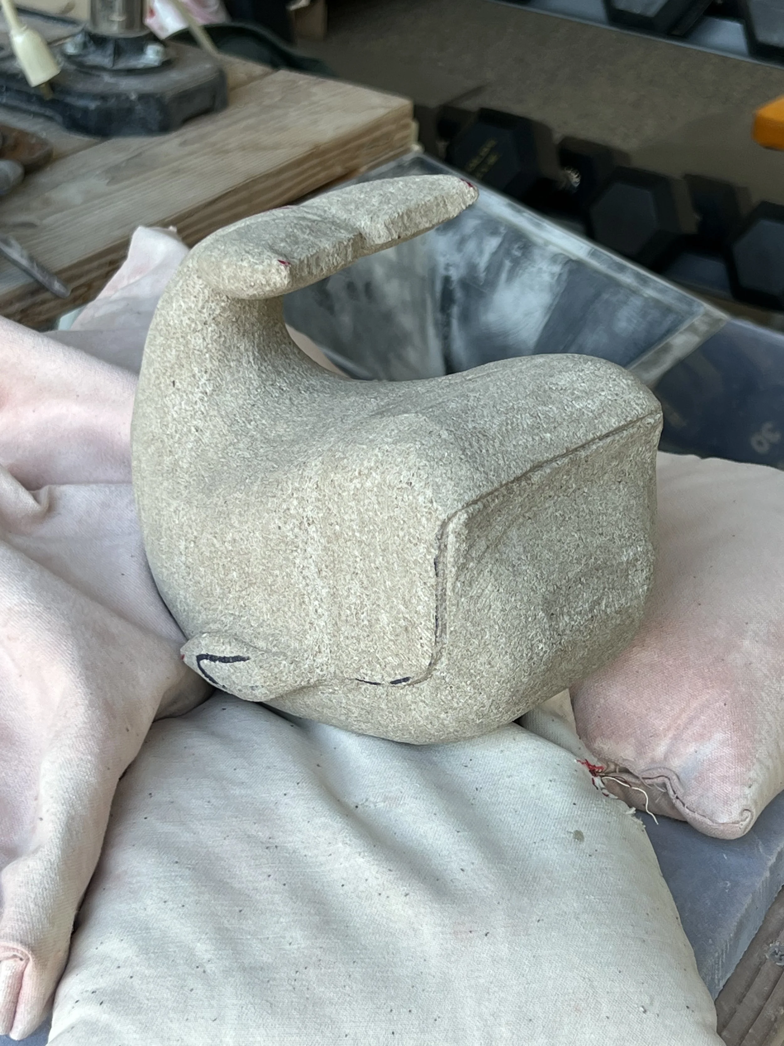 Photo Dec 04 2025, 3 43 41 PM.jpg