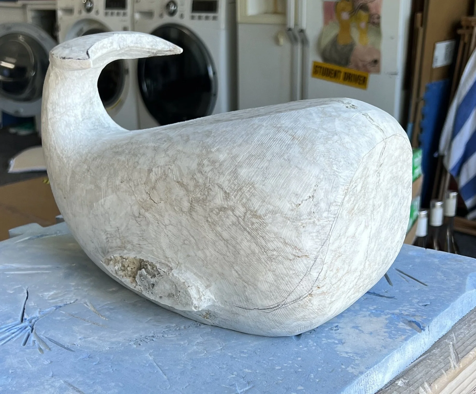 May whale-3.jpg