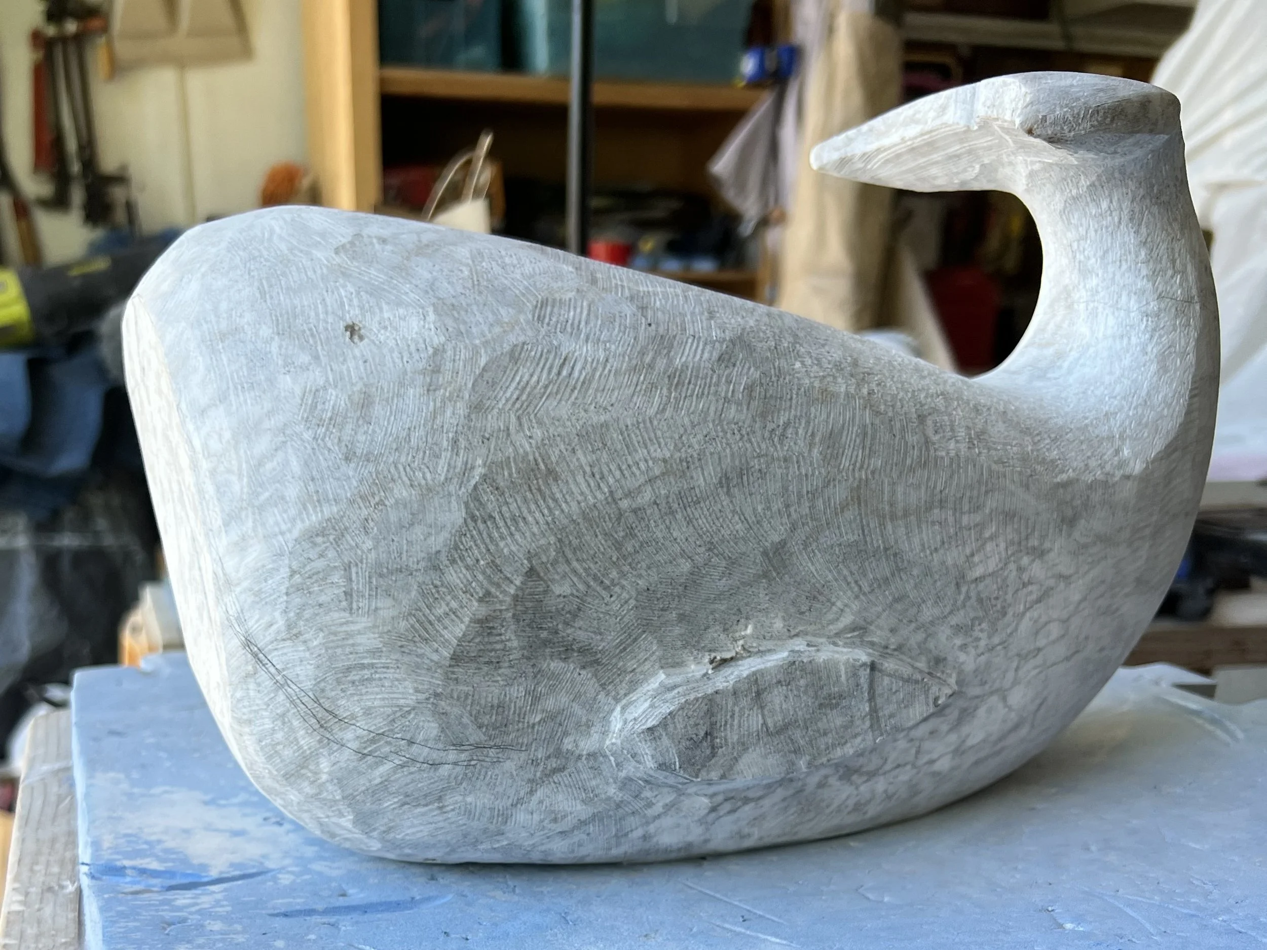 May whale-1.jpg