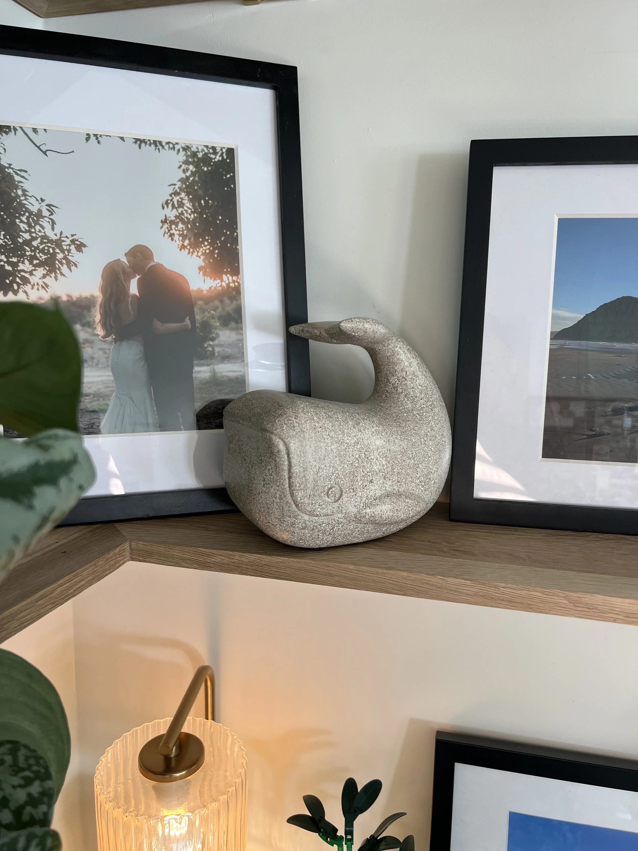 Photo Jan 17 2026, 3 13 28 PM.jpg