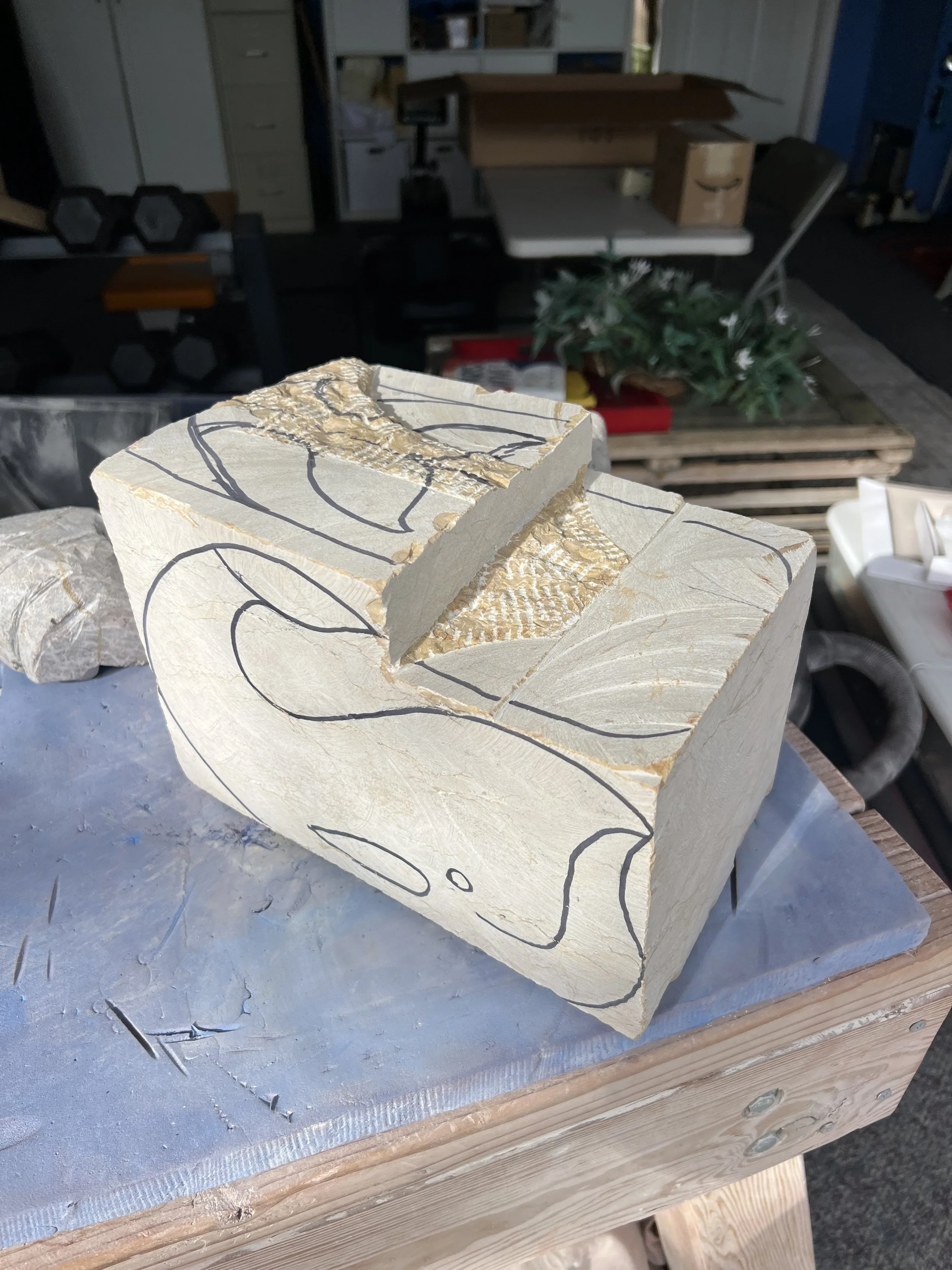 Photo Dec 27 2025, 11 59 22 AM.jpg