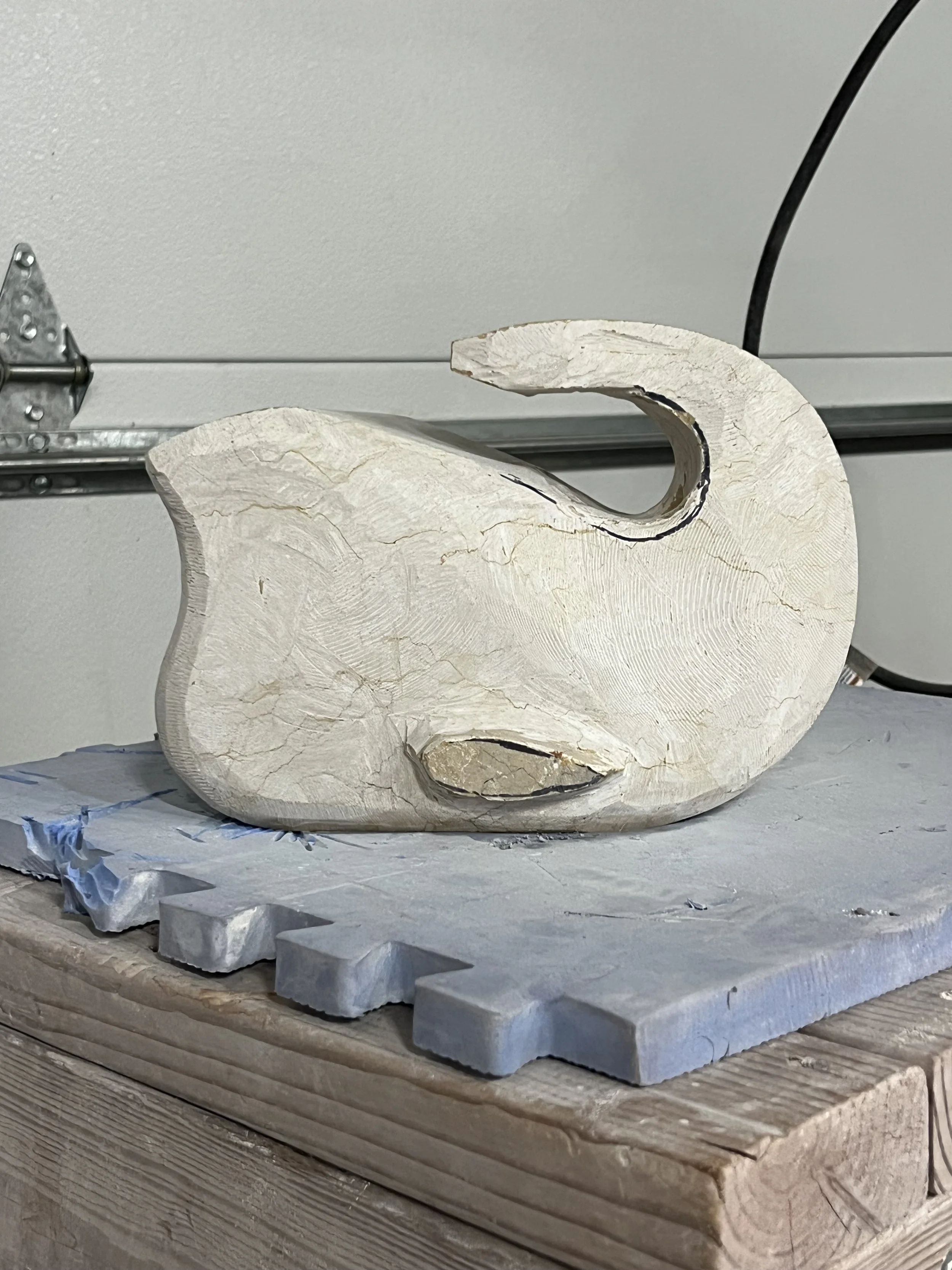 Photo Jan 23 2026, 7 17 42 AM.jpg