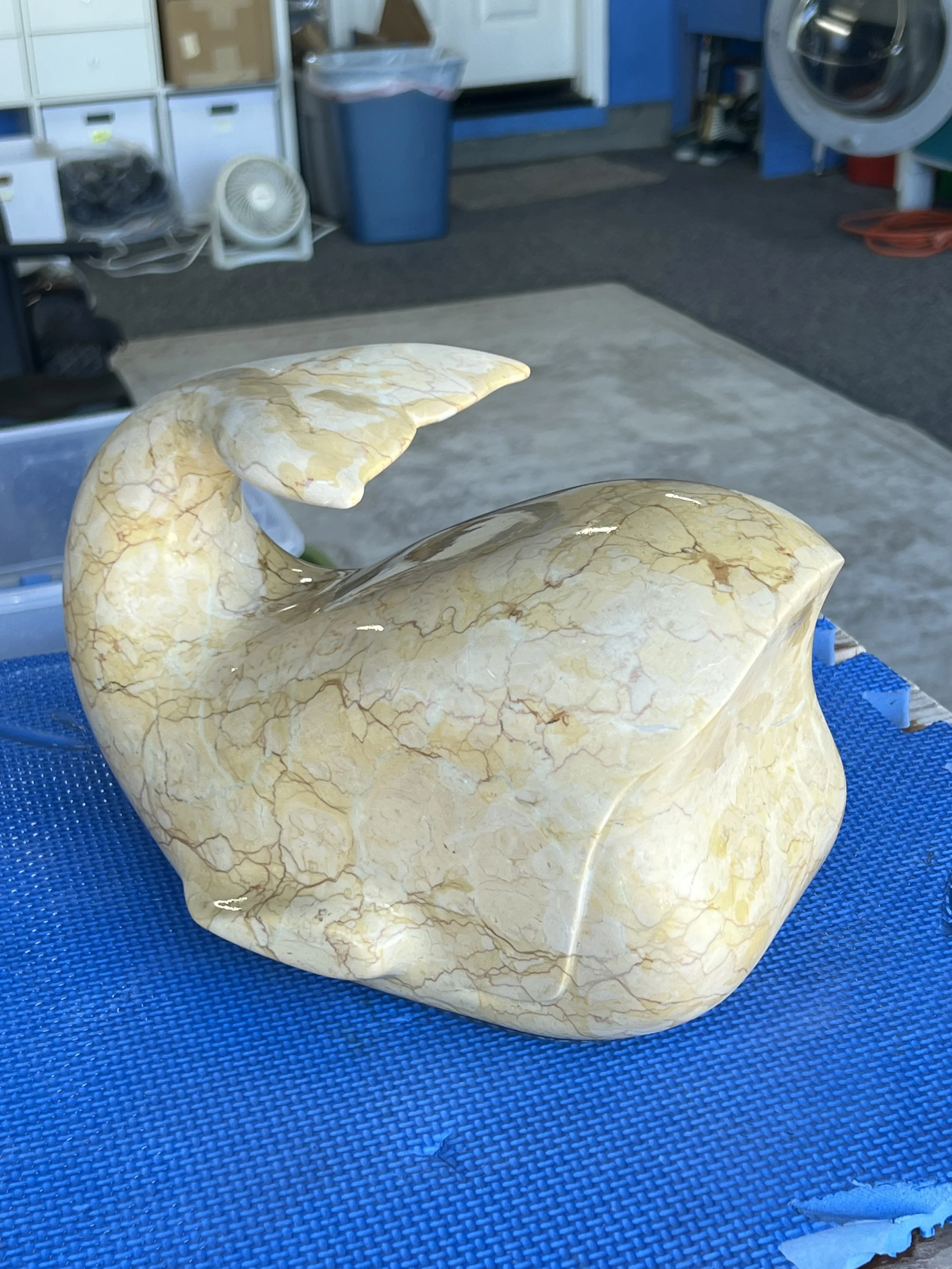 Photo Mar 16 2026, 5 07 54 PM (1).jpg