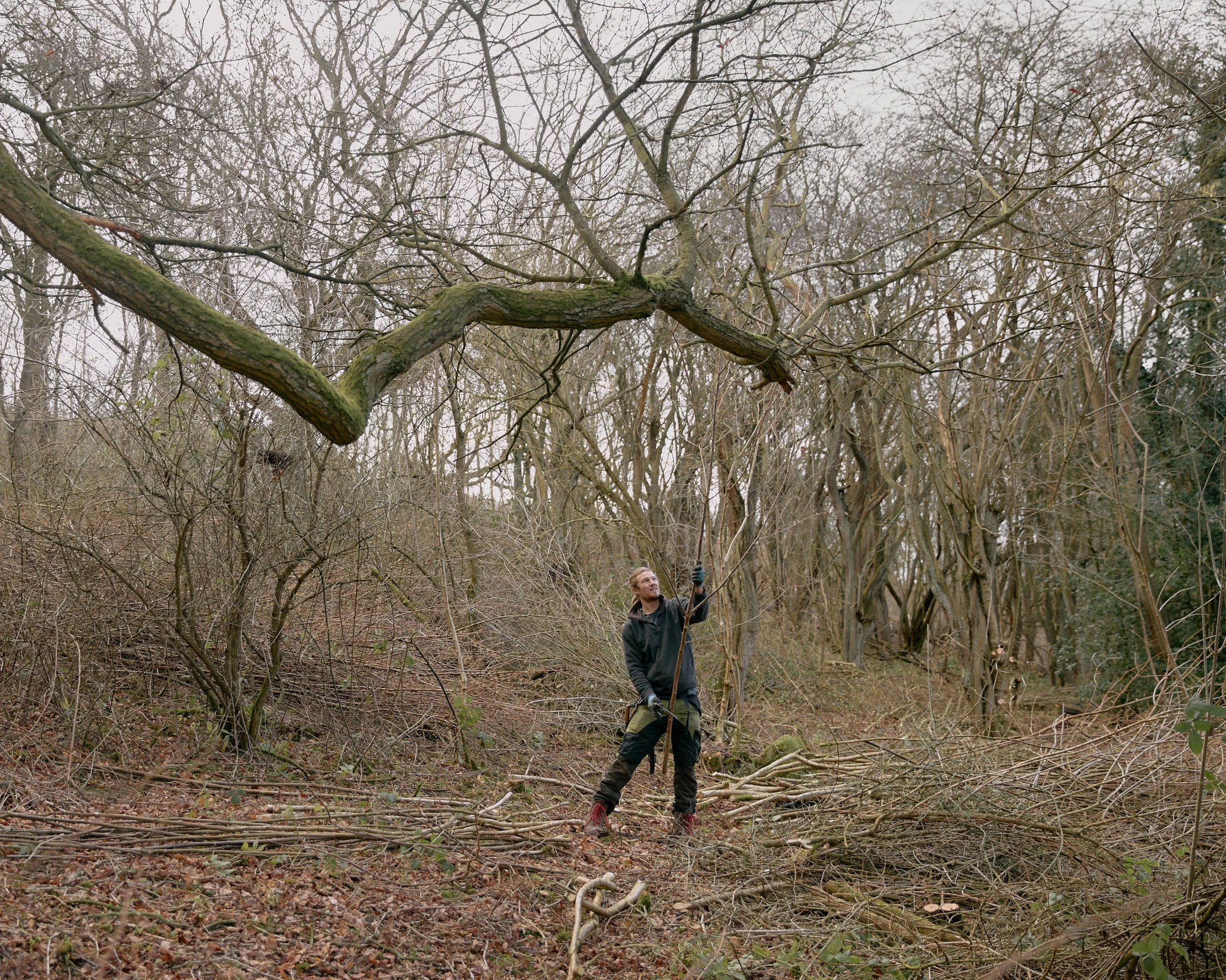 A man crafting products from coppiced wood in Yorkshire, England.
