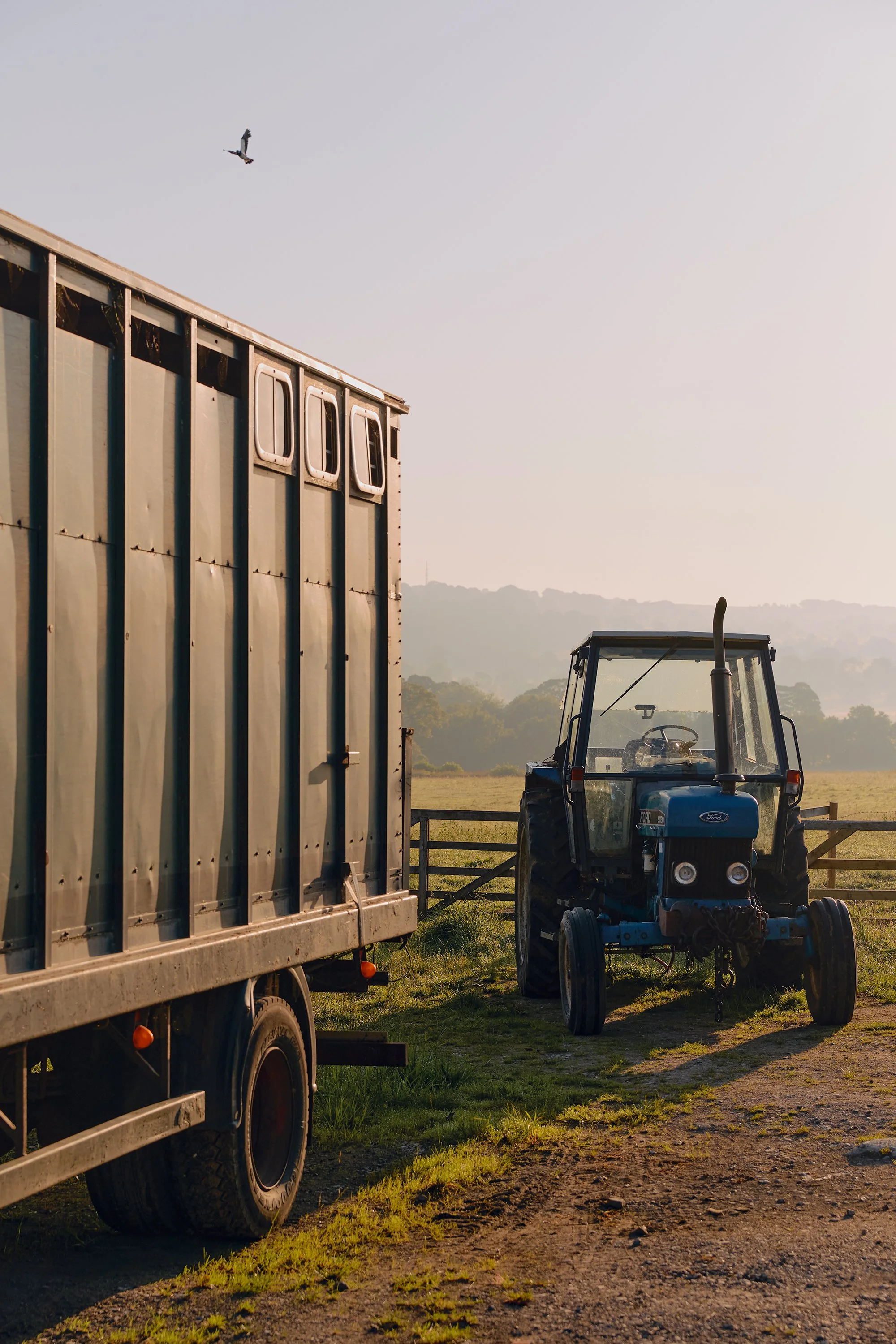 A blue tractor and livestock trailer backlit by low early morning sunlight on a farm in Burley-in-Wharfedale.