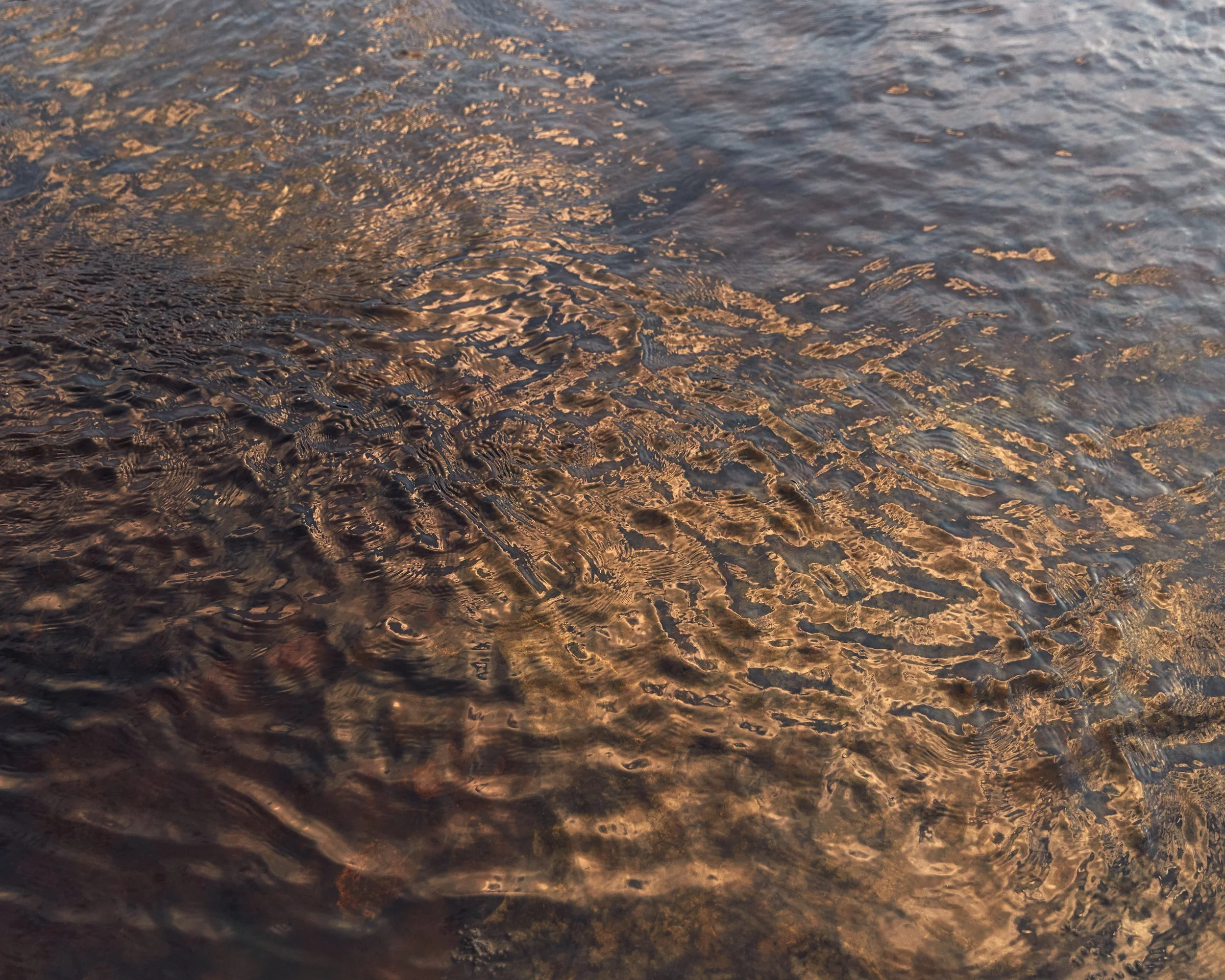 Golden sunlight reflecting on the rippling surface of Oughtershaw Beck in Upper Wharfedale, England.