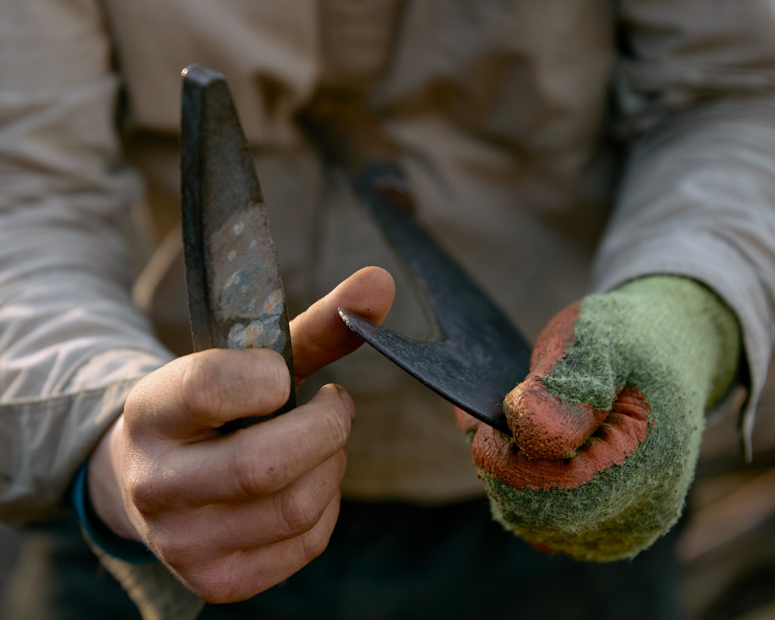 A hand sharpening a billhook used for coppicing in Yorkshire, England.