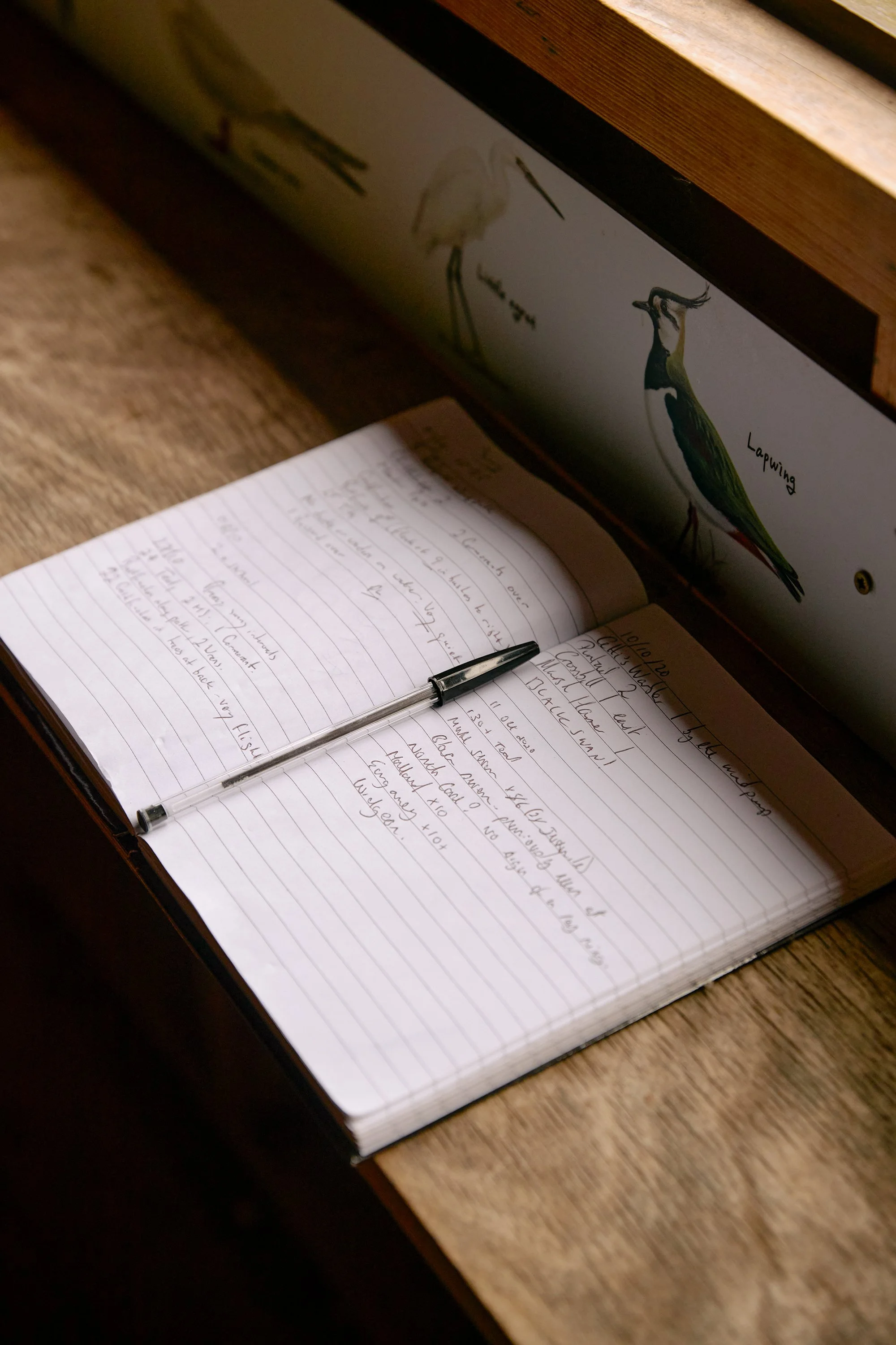 A logbook inside a bird hide showing handwritten records of bird species on a nature reserve in North Yorkshire, England.